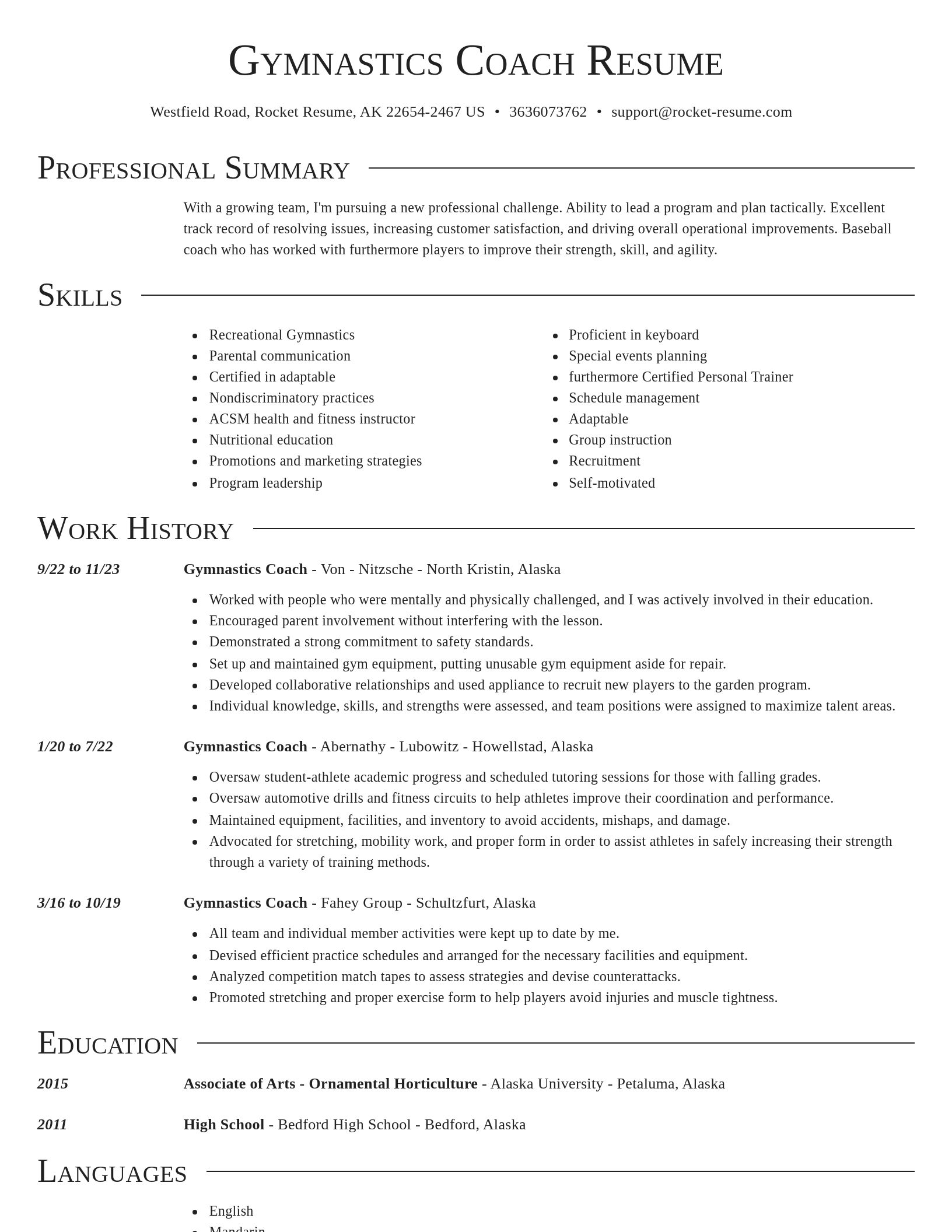 Director resume template