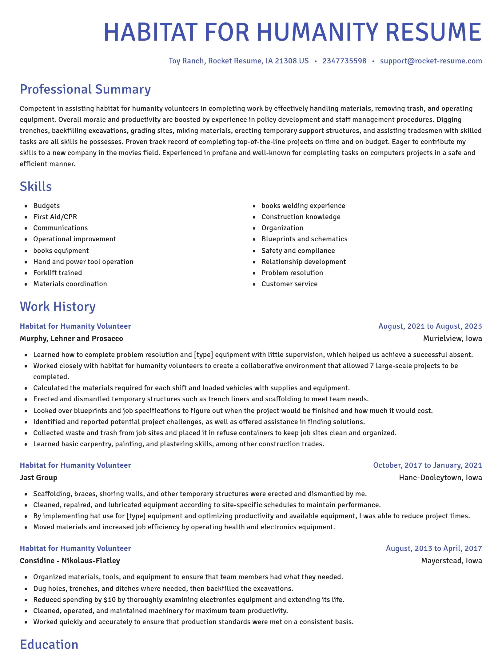 Novel resume template
