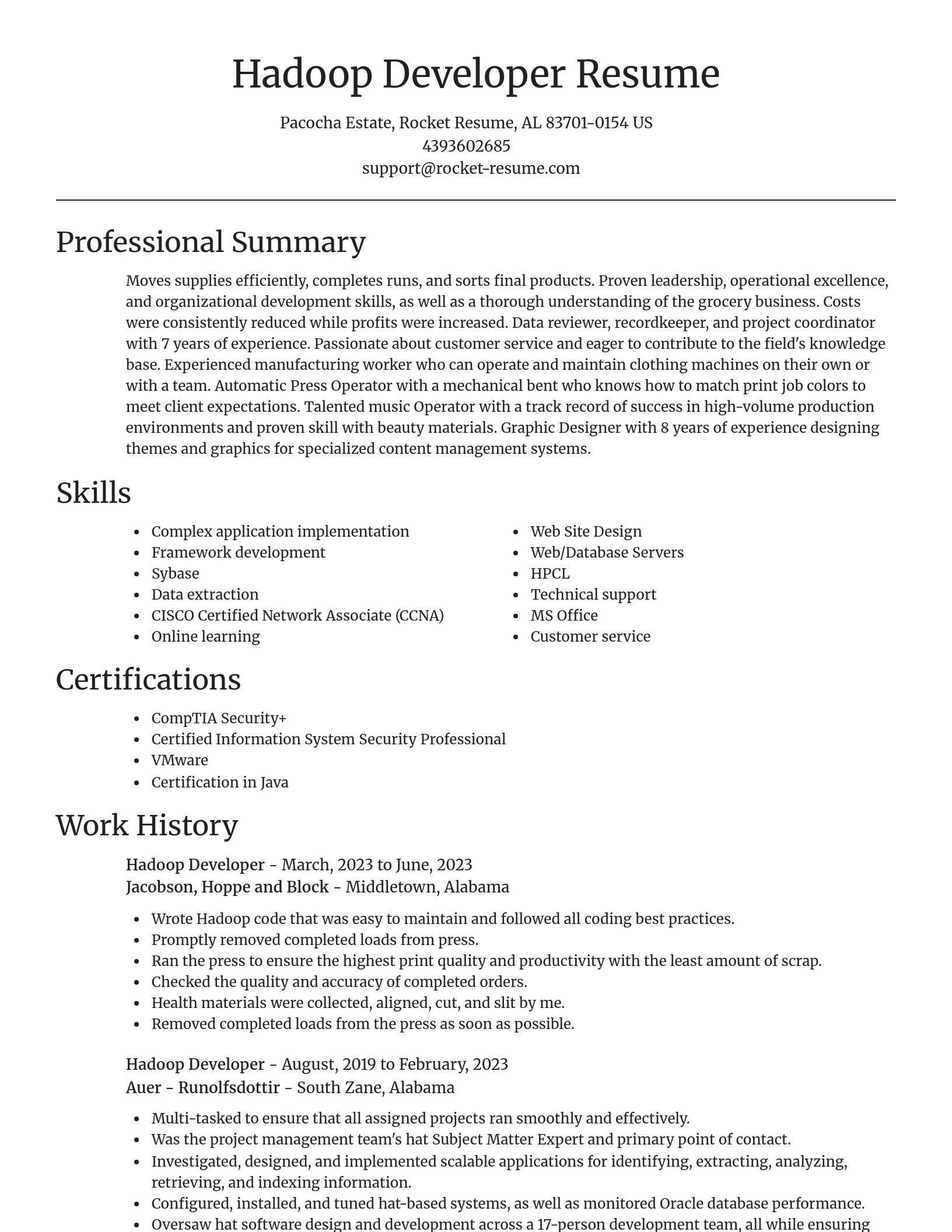 Focal Point resume template