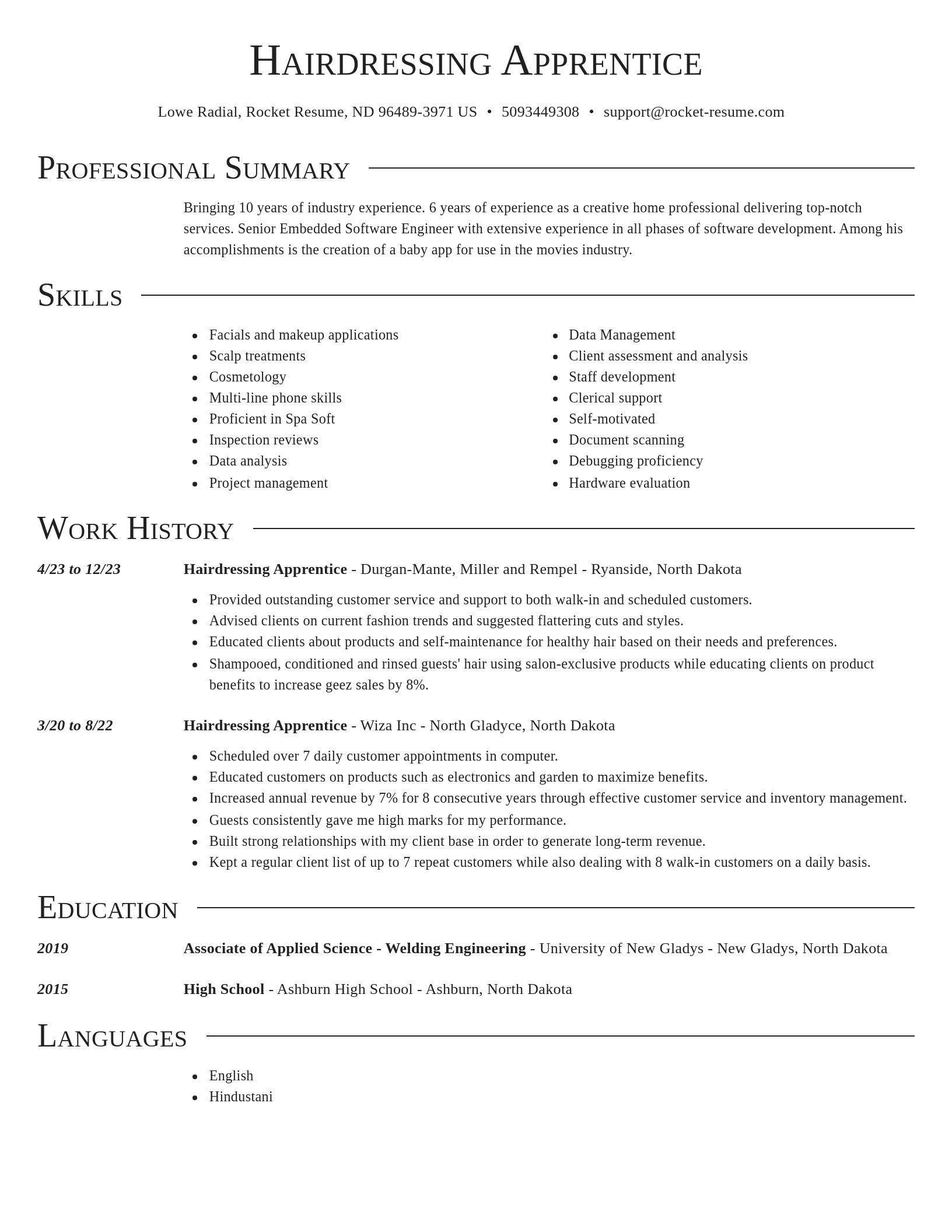 Director resume template