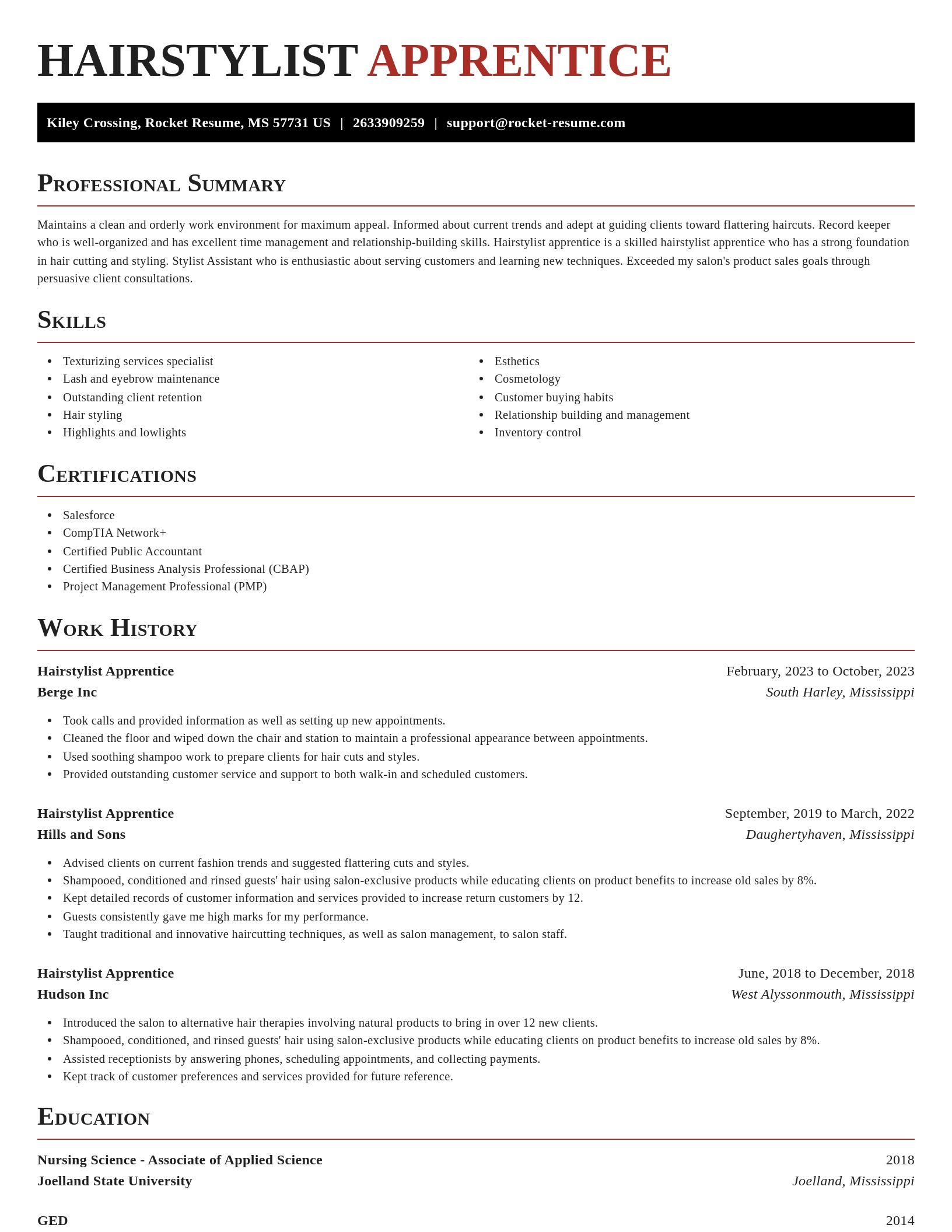 Exquisite resume template