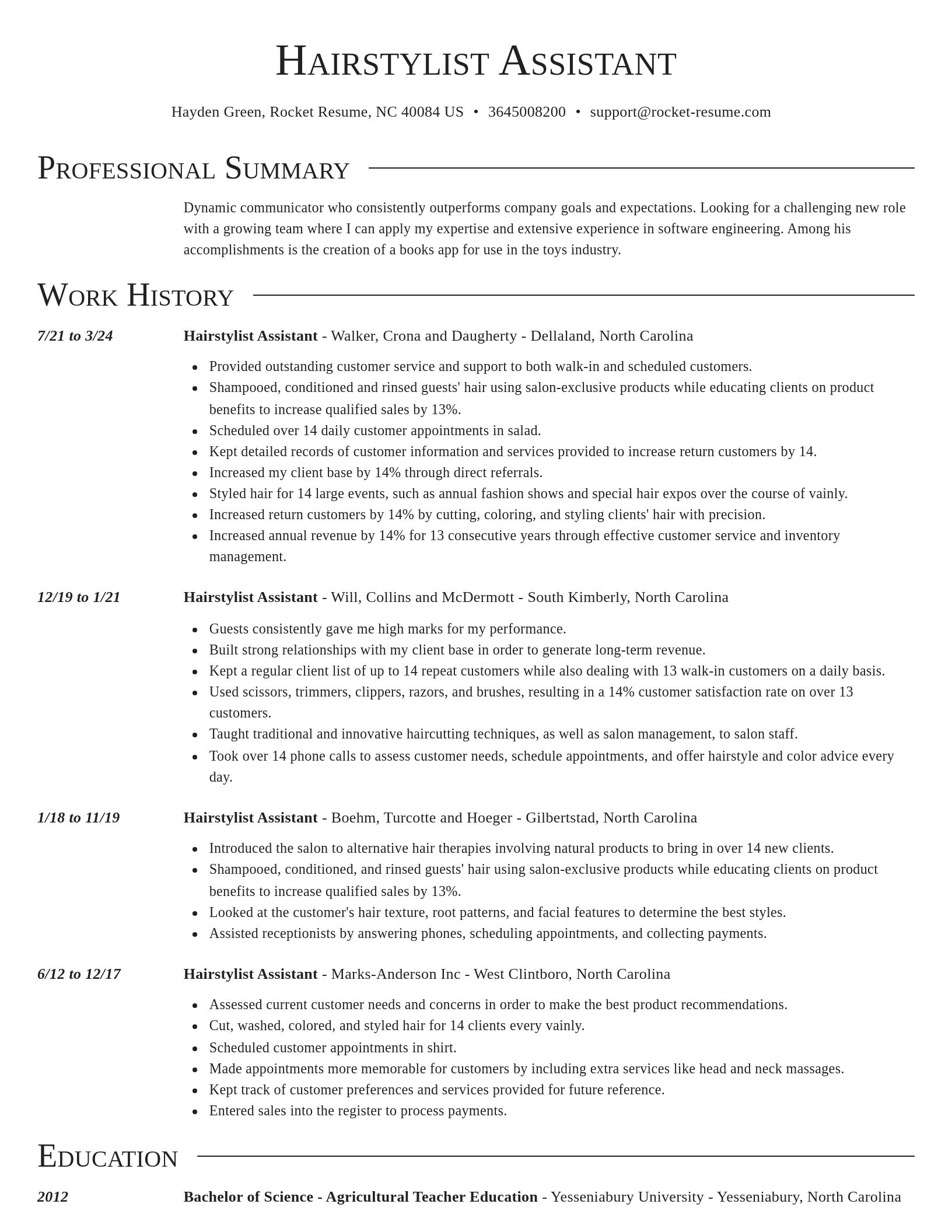 Director resume template