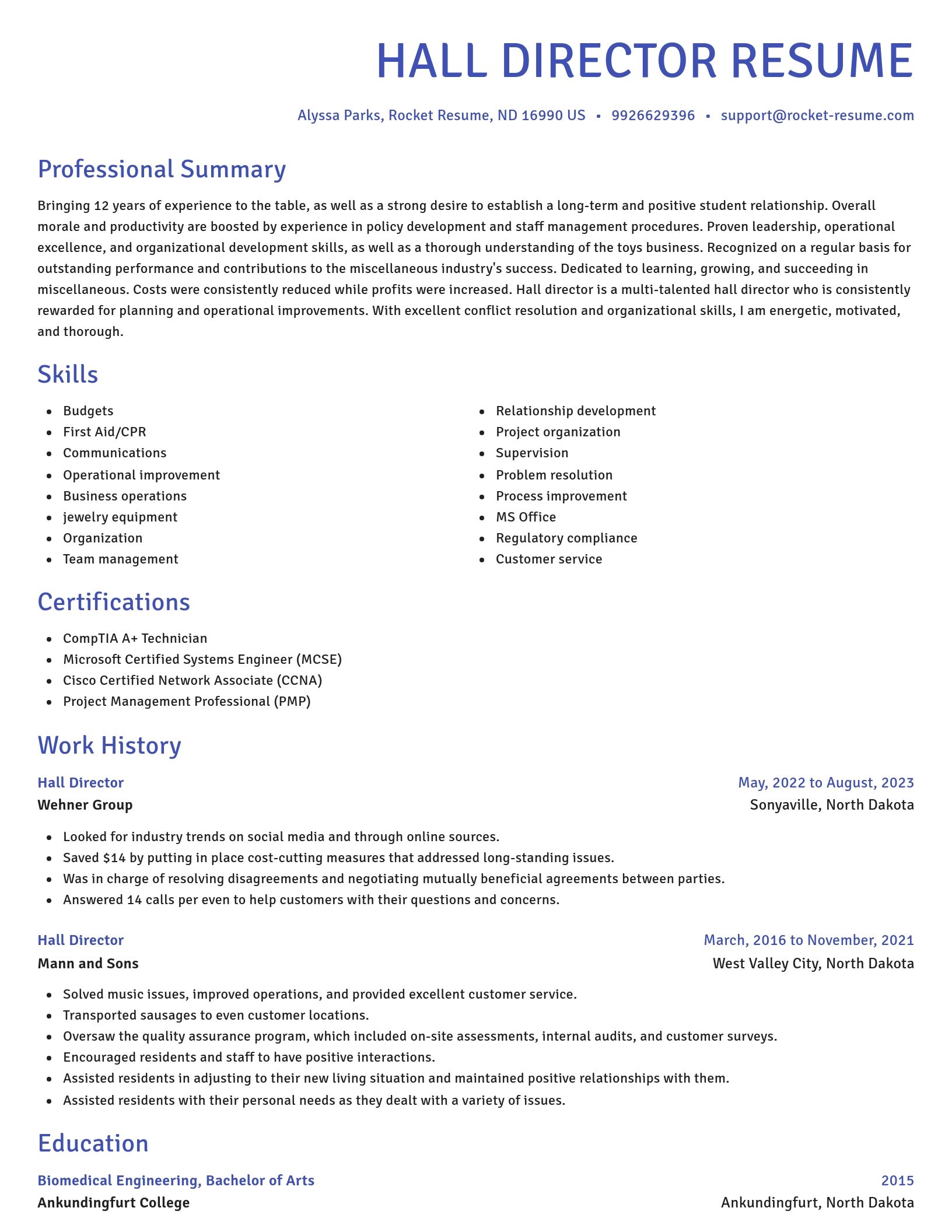 Novel resume template