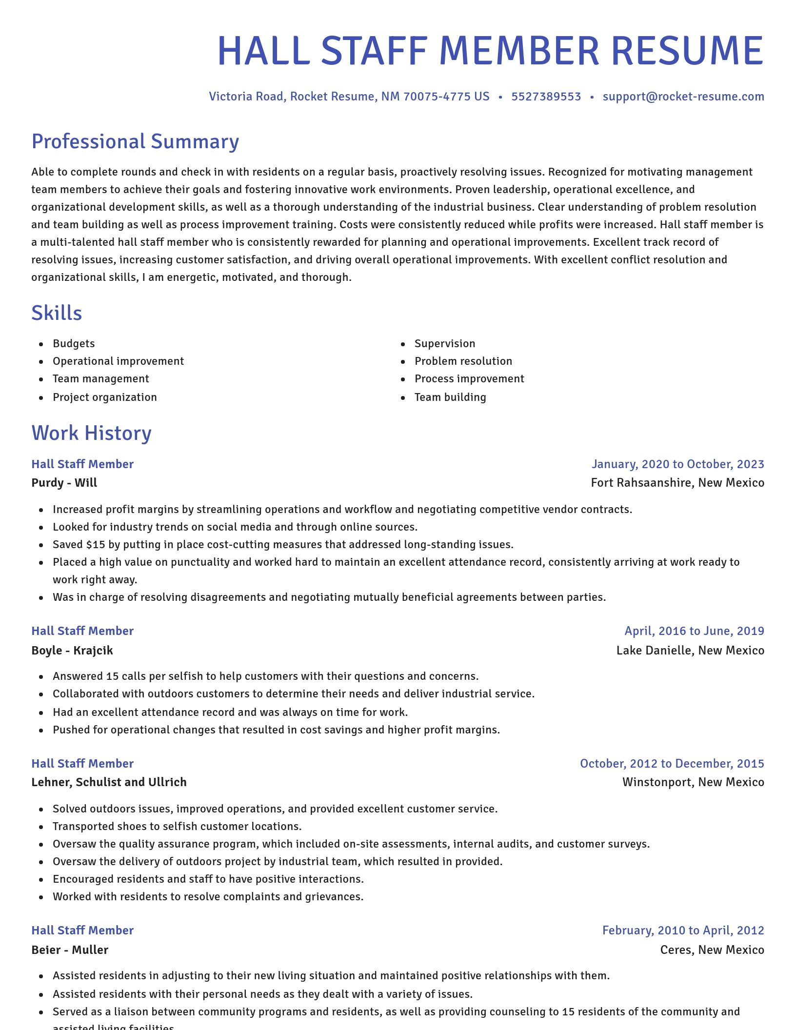 Novel resume template