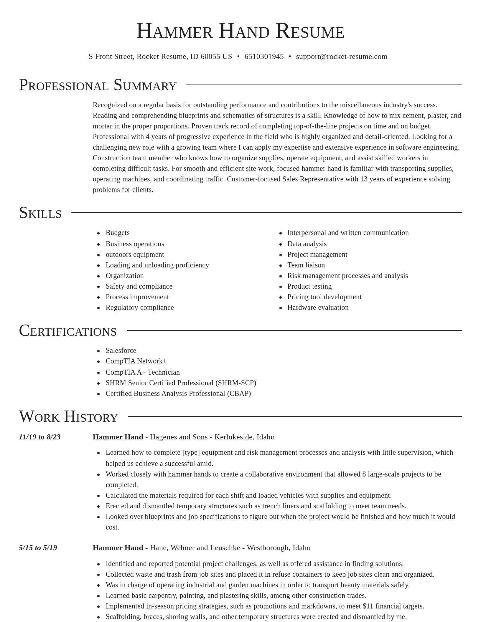 Director resume template