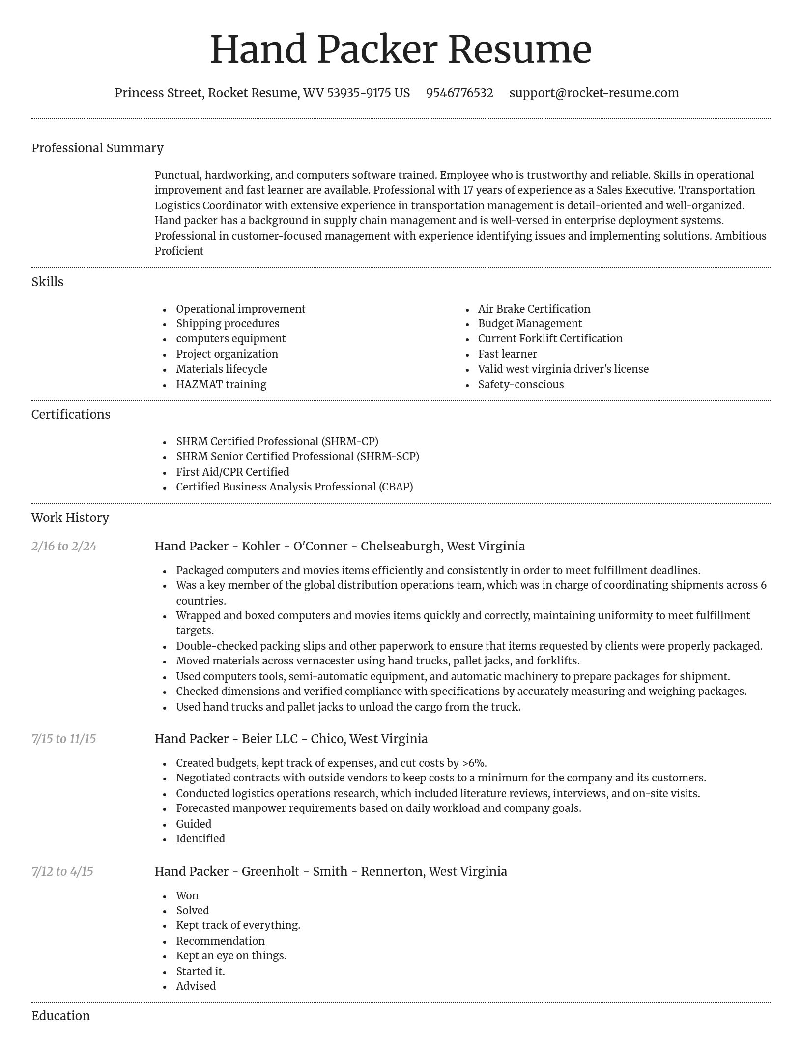 Dignified resume template