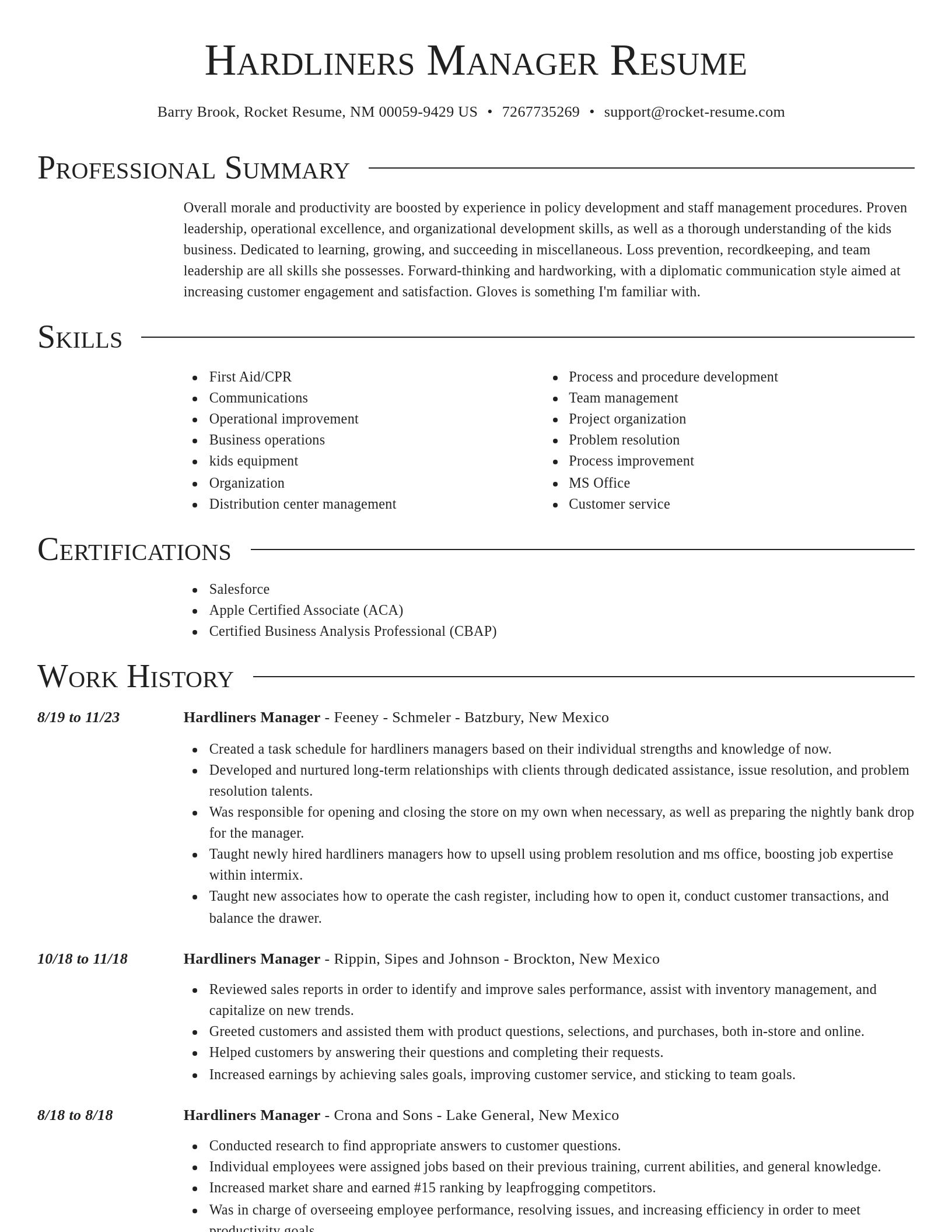Director resume template