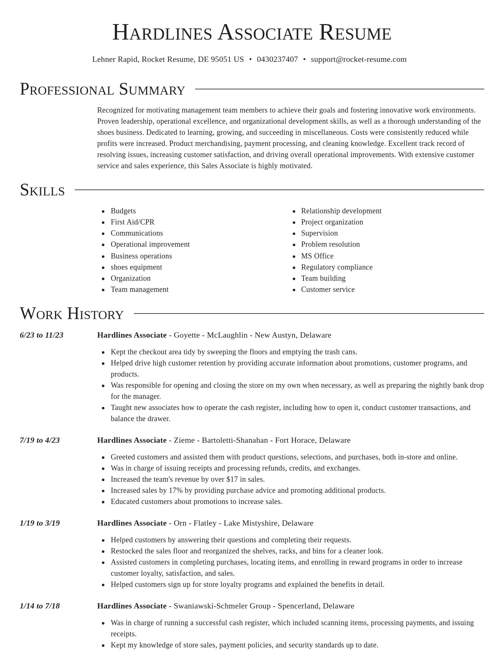 Director resume template