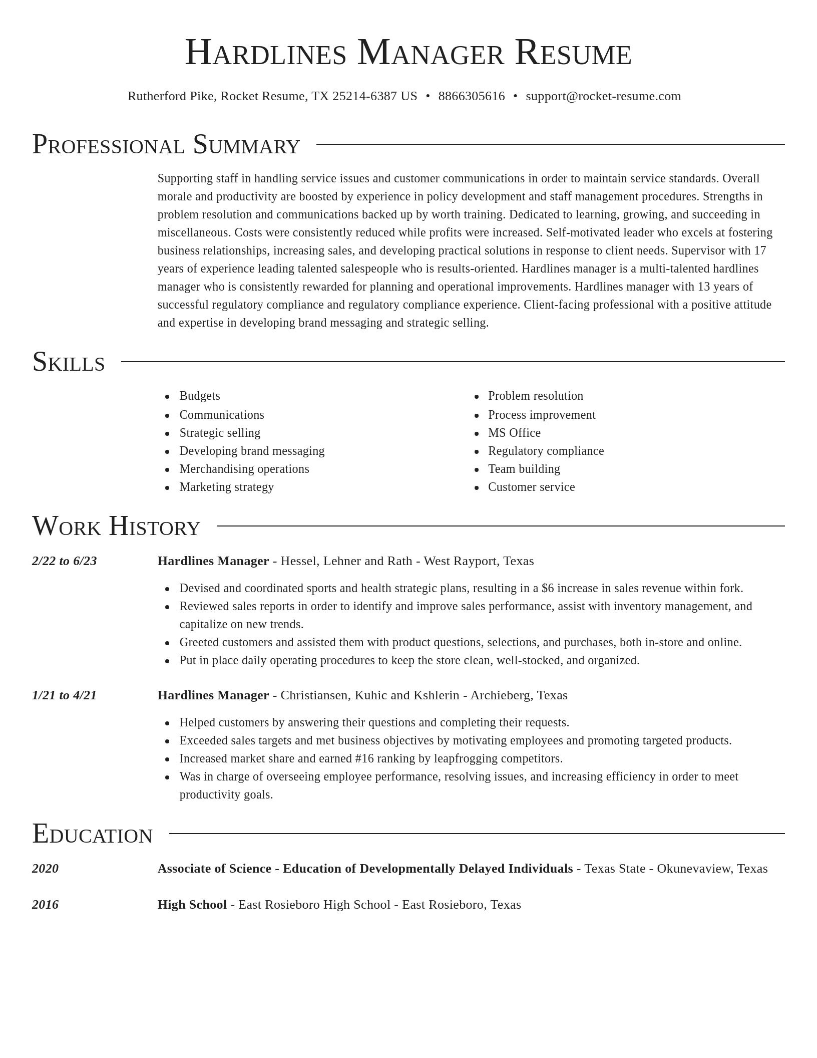 Director resume template