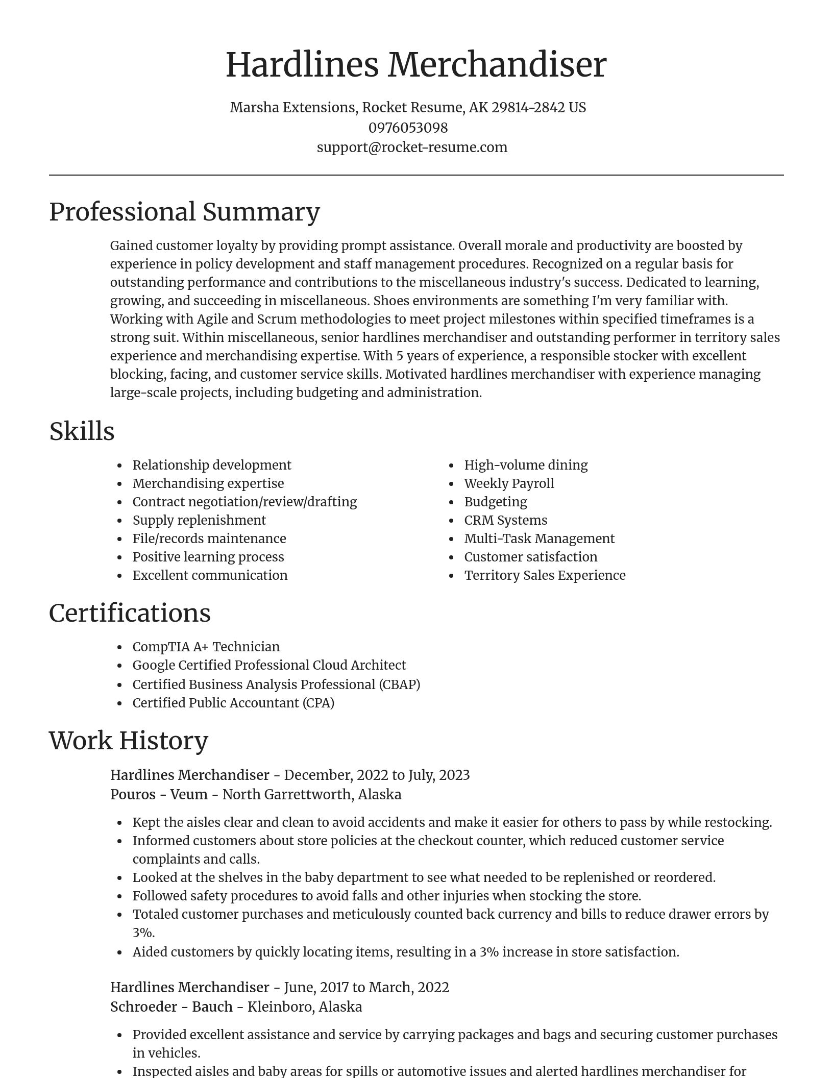 Focal Point resume template