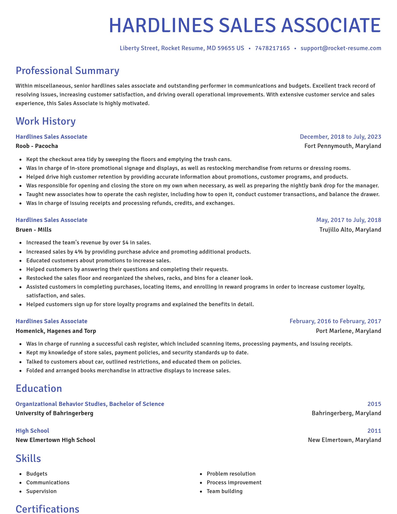 Novel resume template
