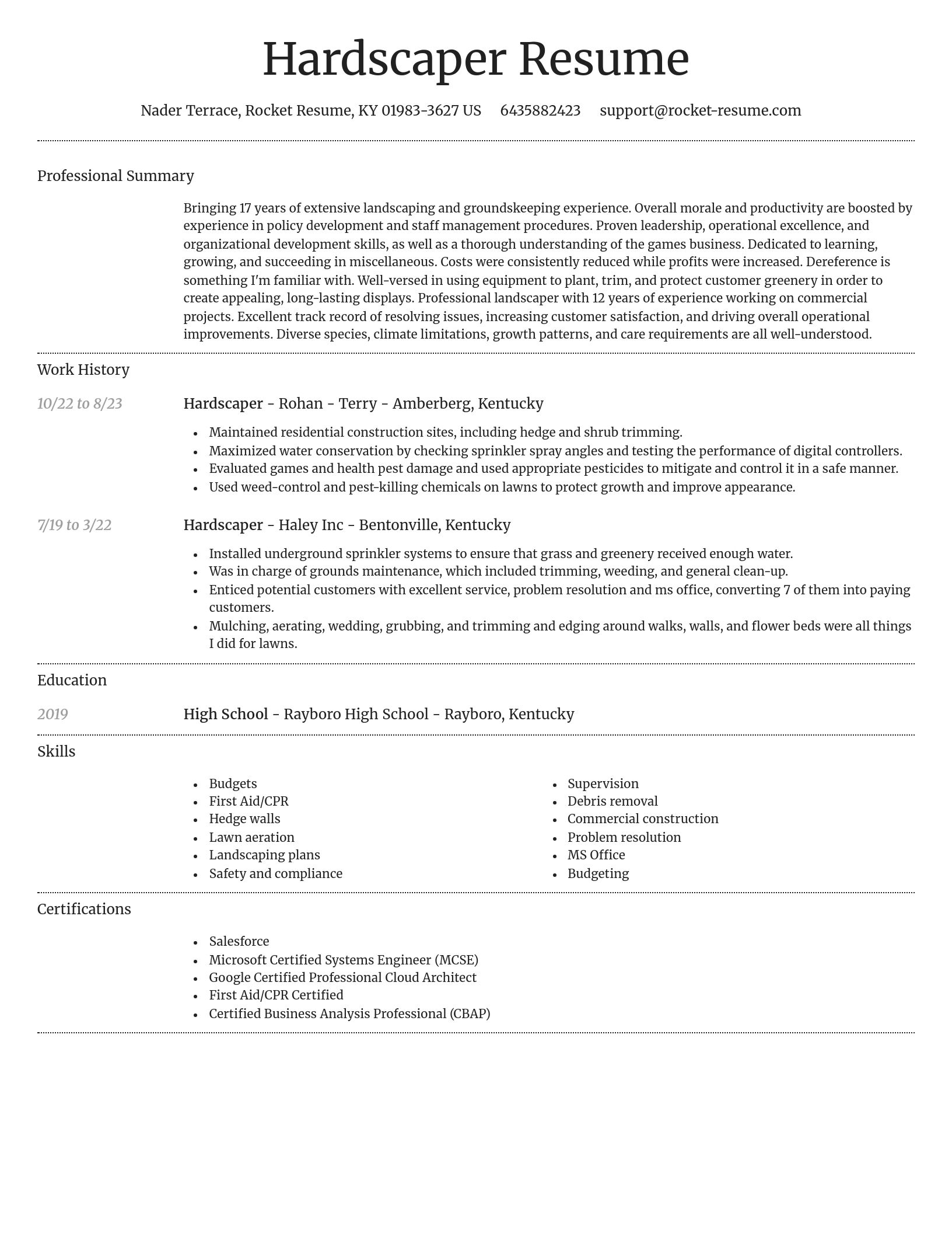 Dignified resume template