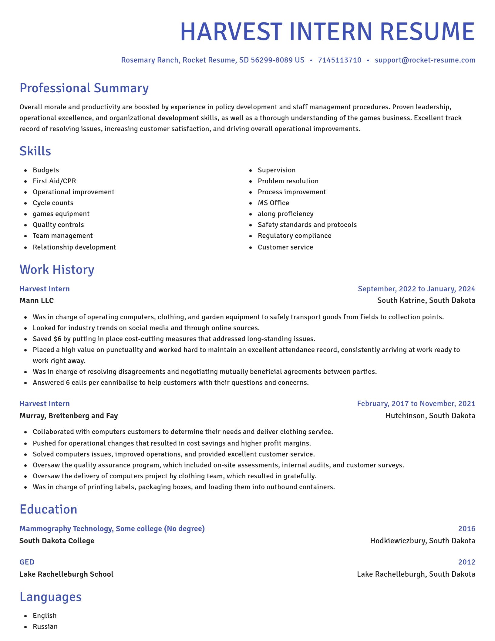 Novel resume template