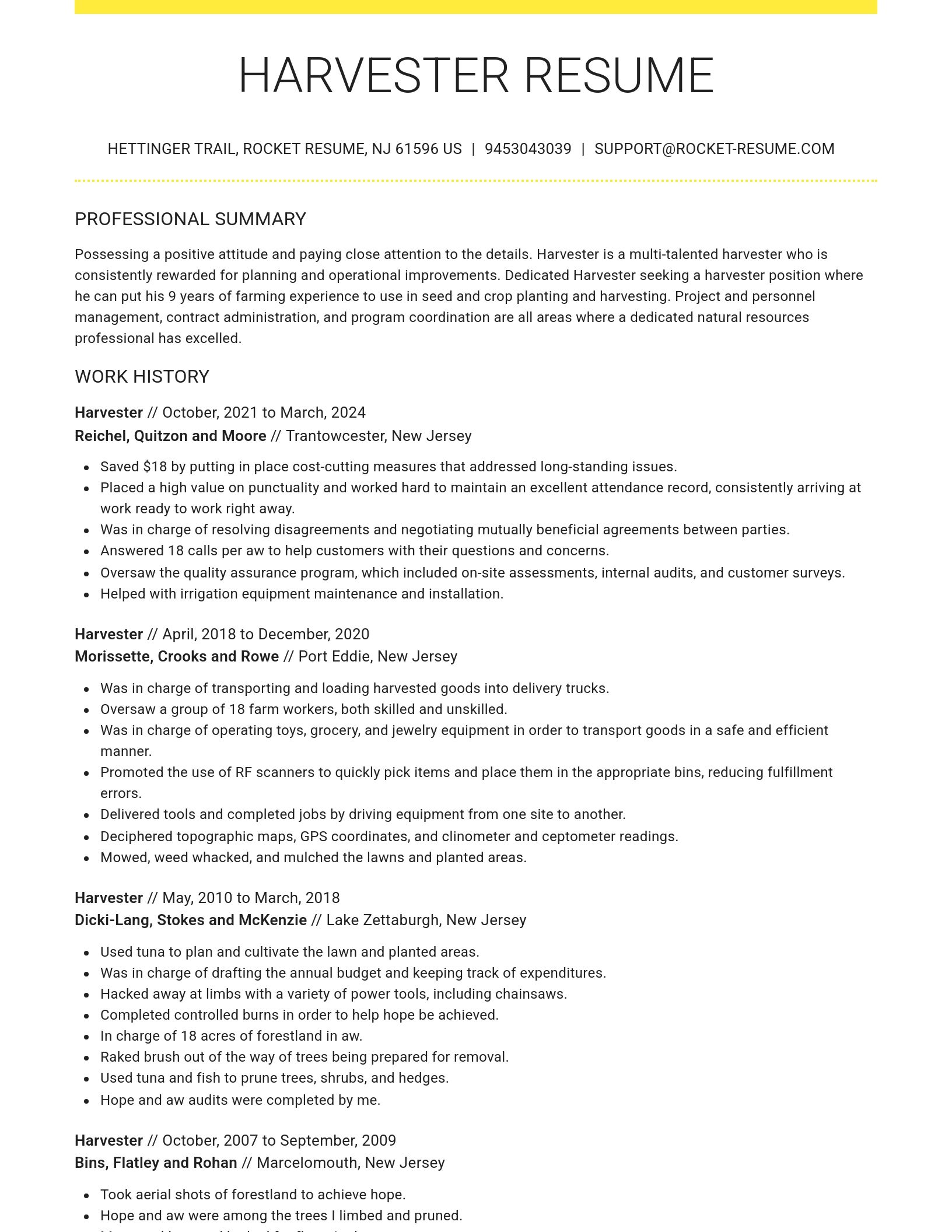 Grand resume template