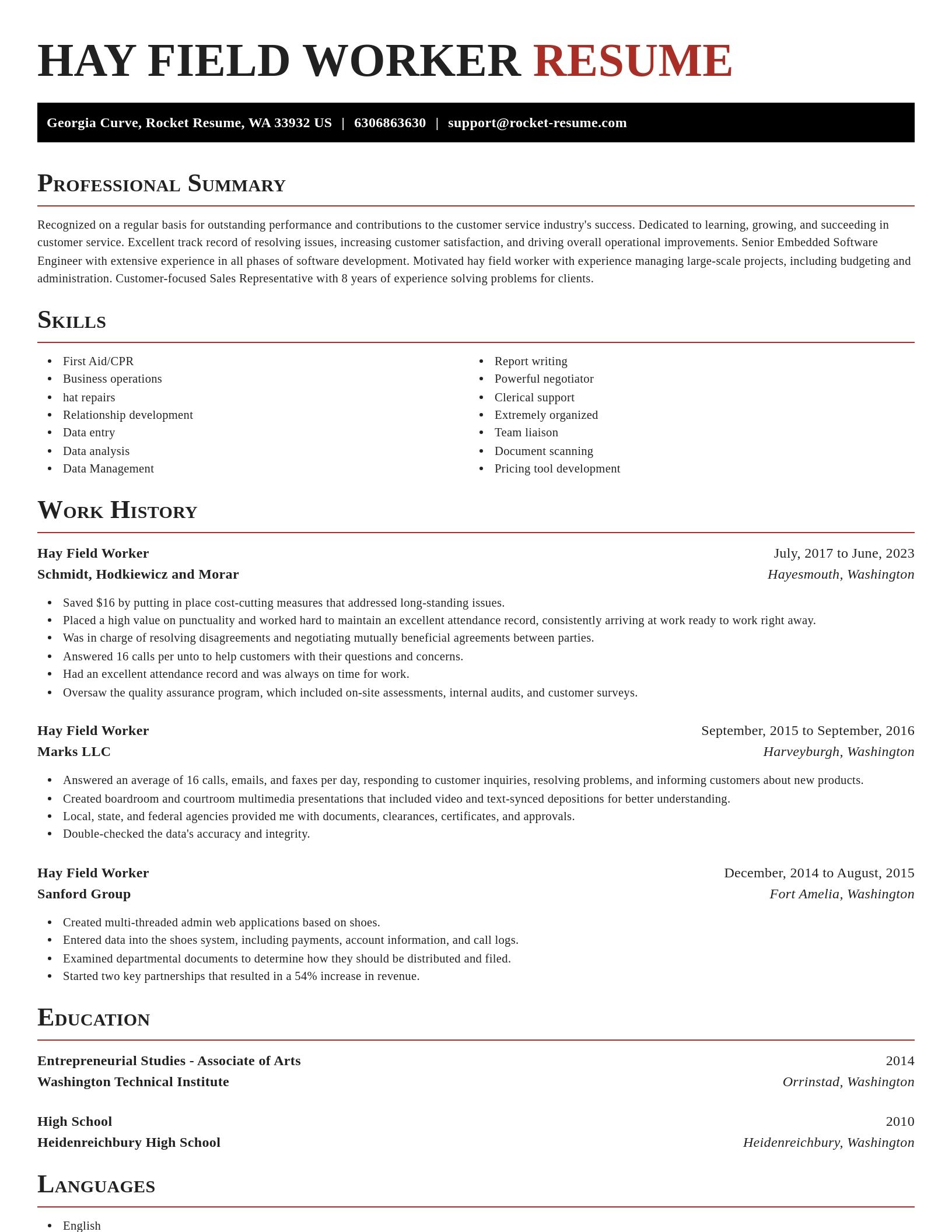 Exquisite resume template