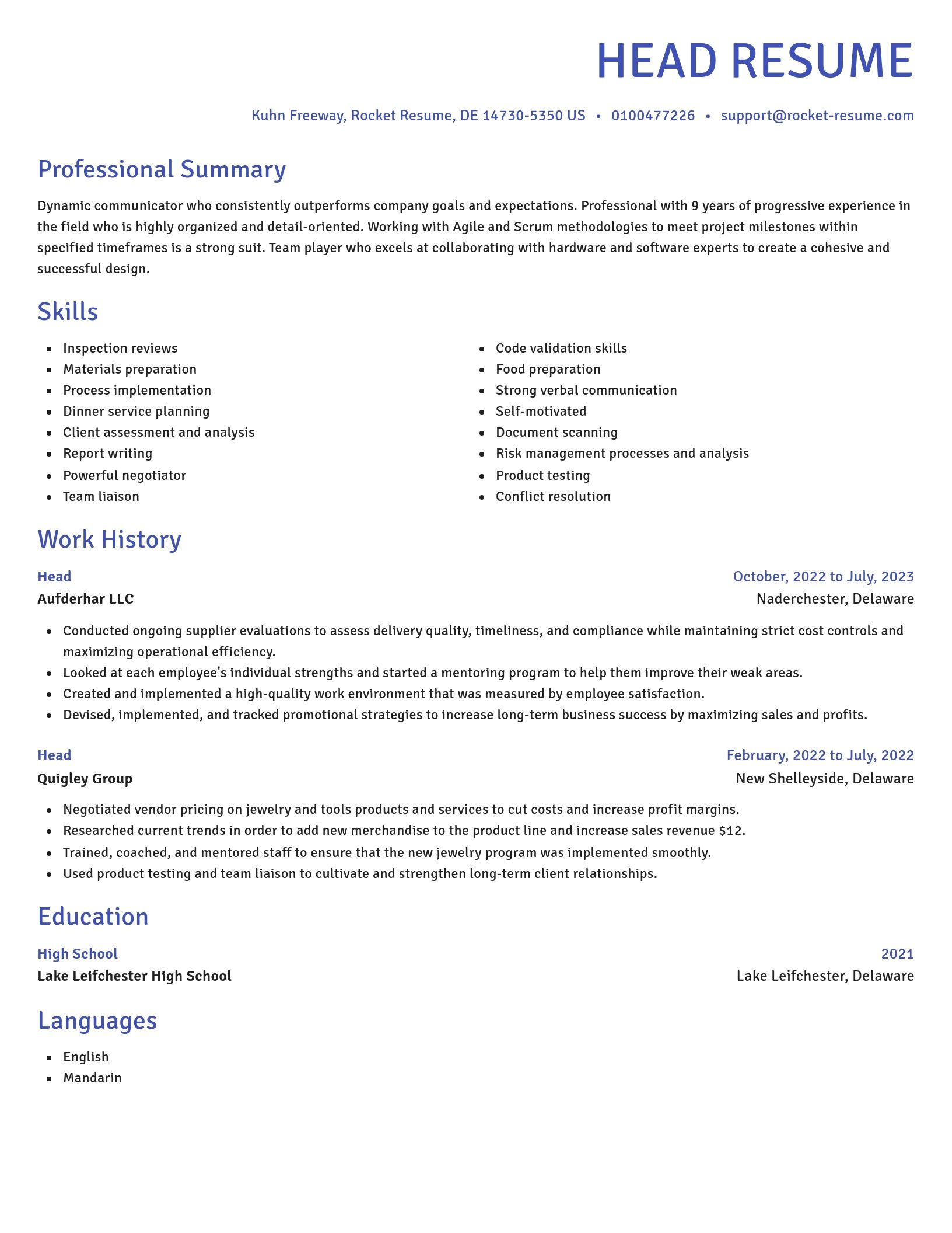 Novel resume template