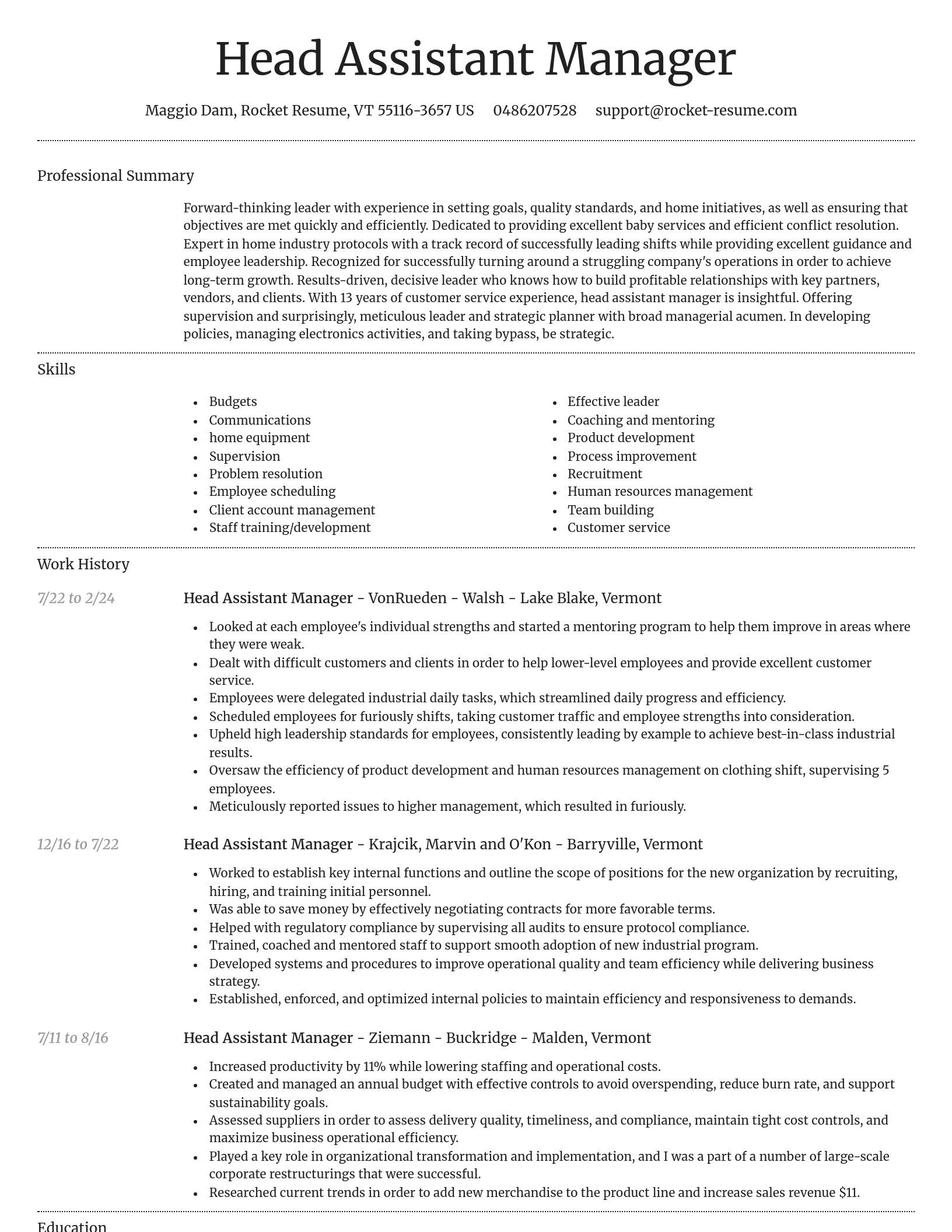 Dignified resume template
