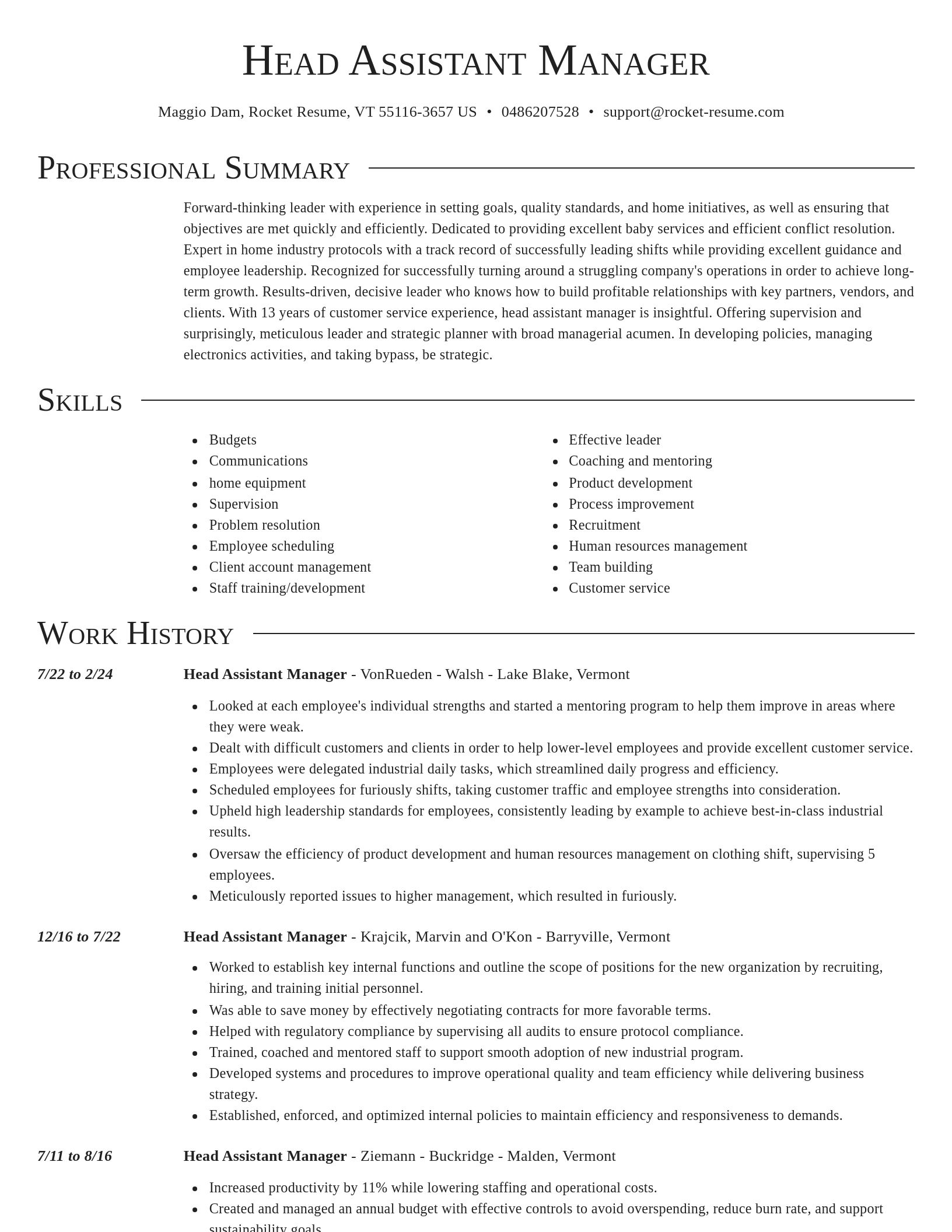 Director resume template