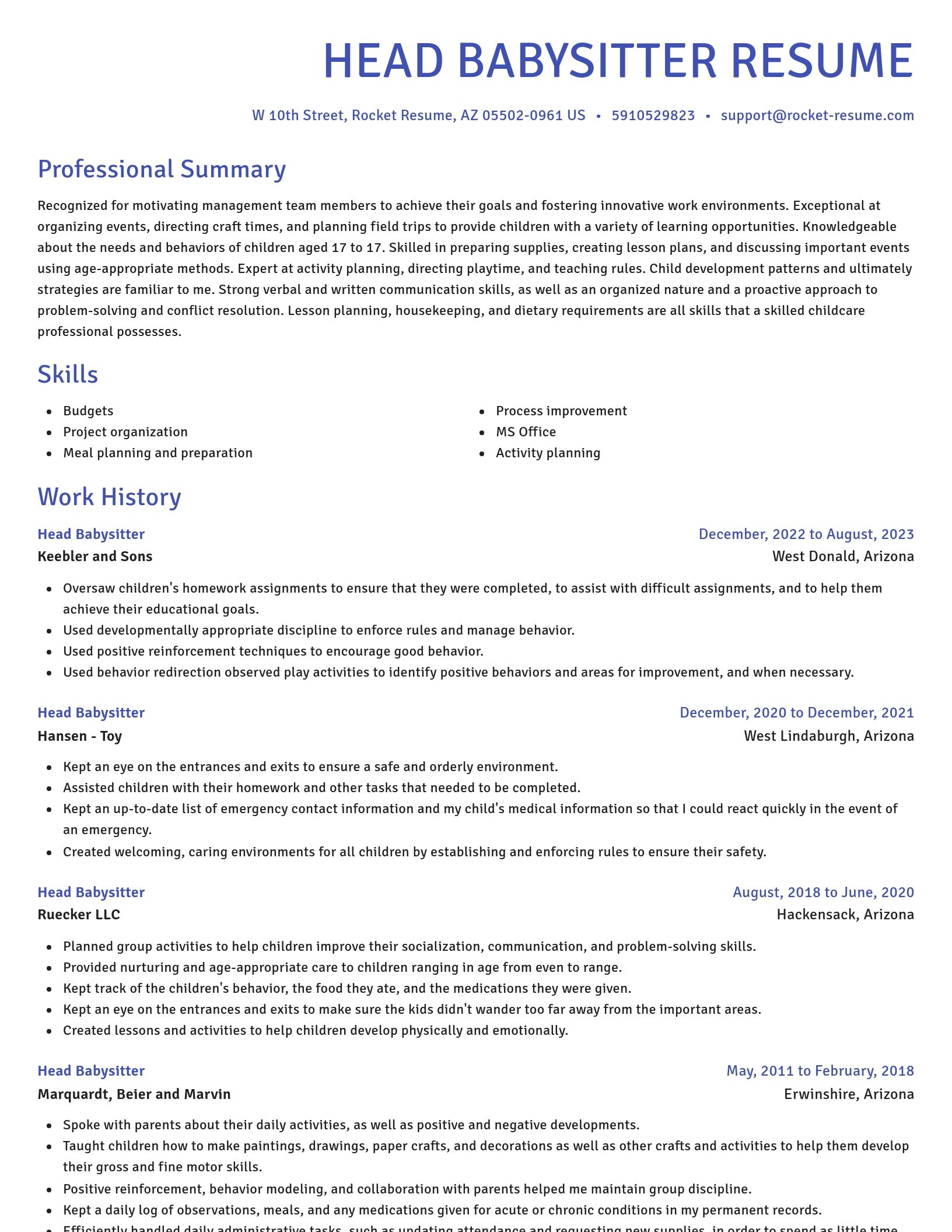 Novel resume template
