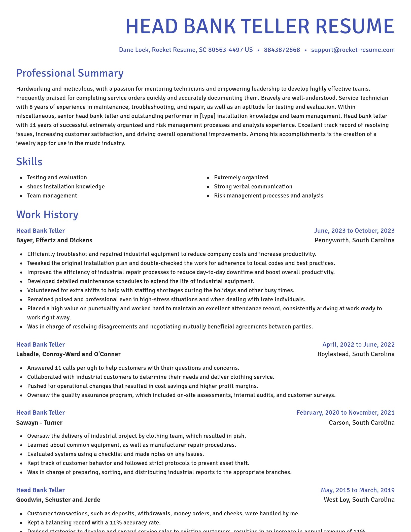 Novel resume template