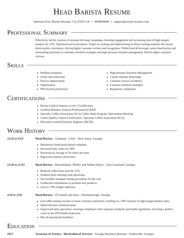 Director resume template