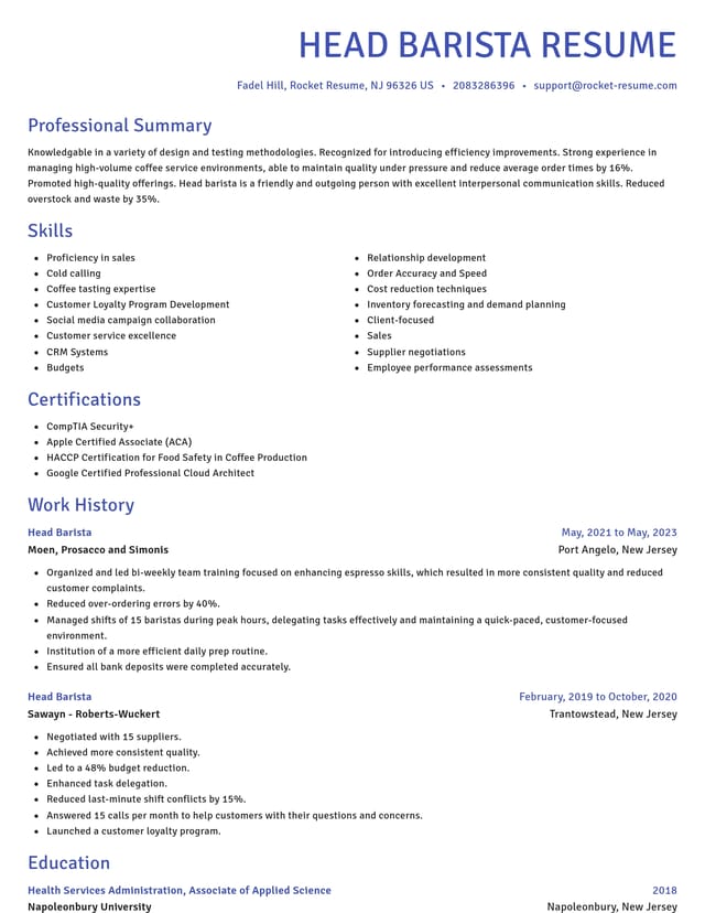 Novel resume template