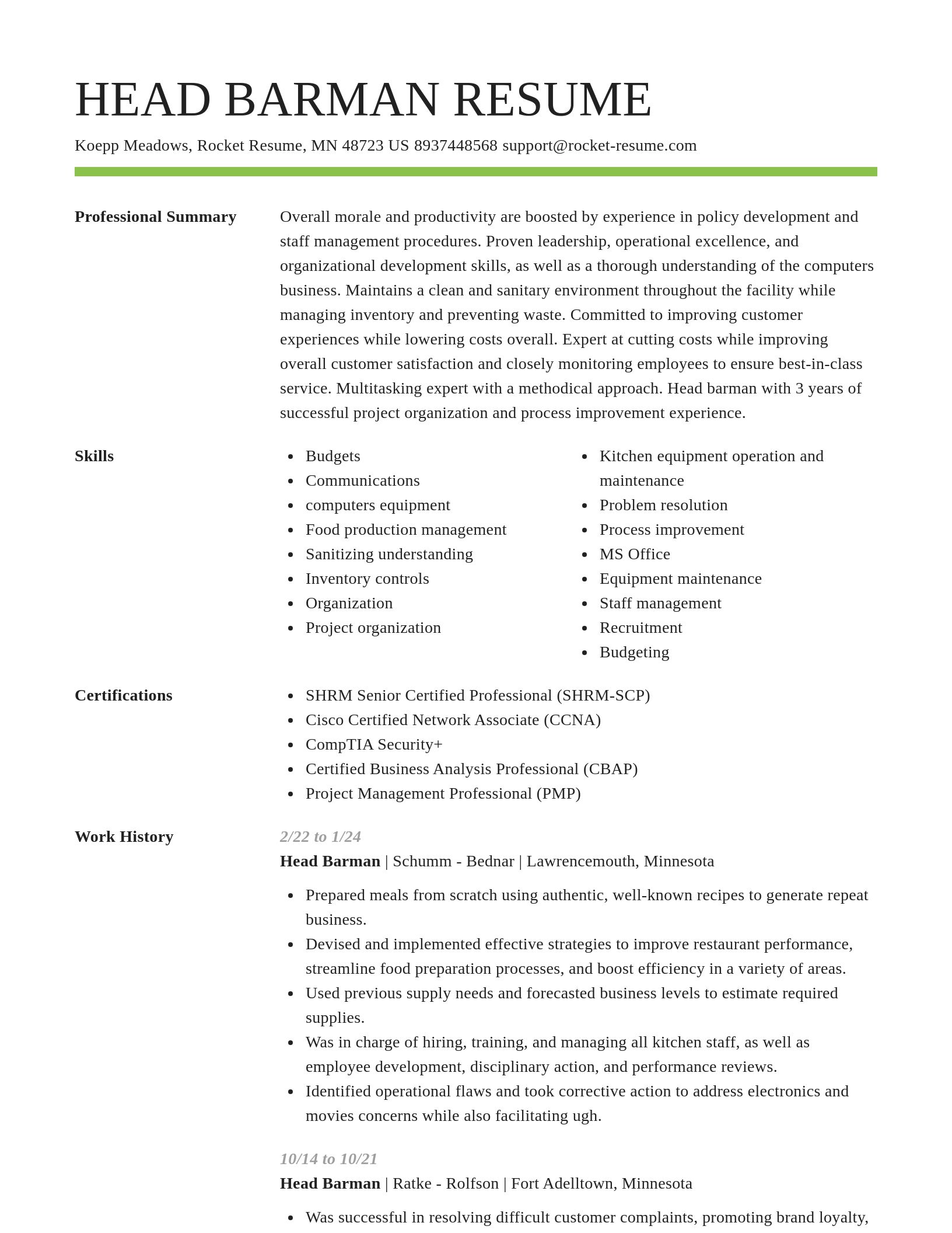 Smart resume template