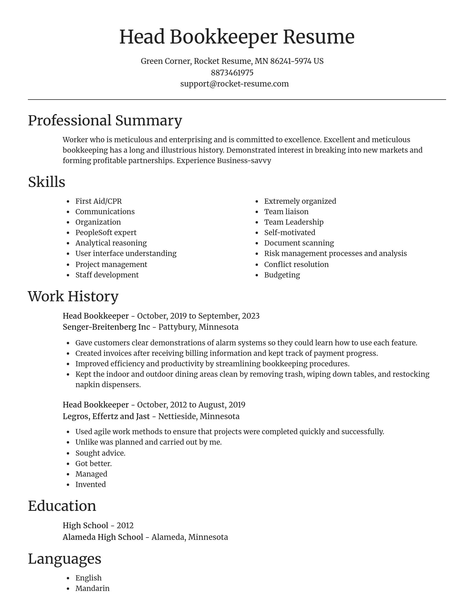 Focal Point resume template