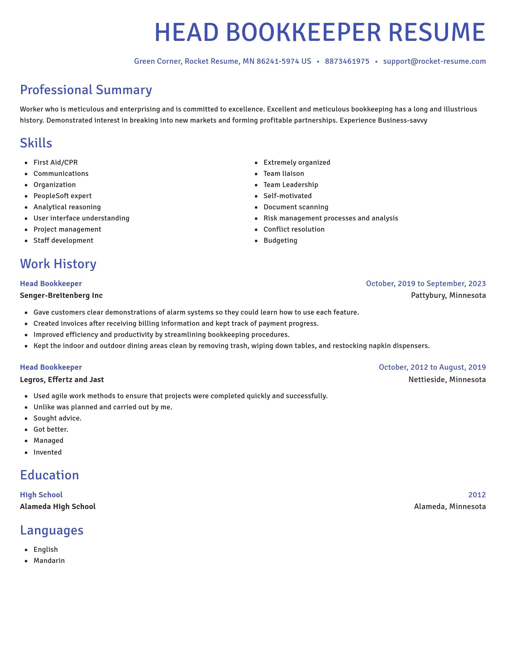 Novel resume template