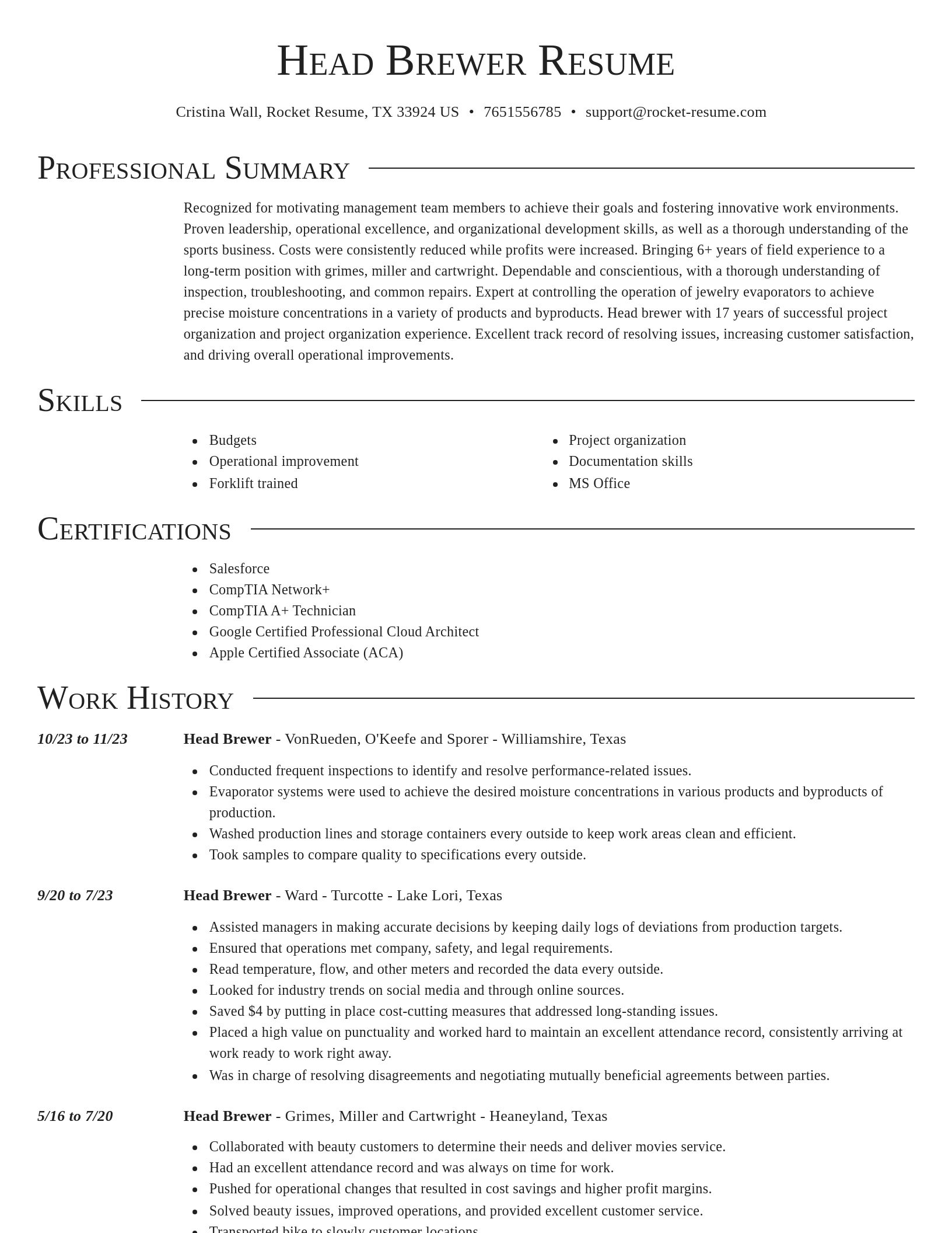 Director resume template