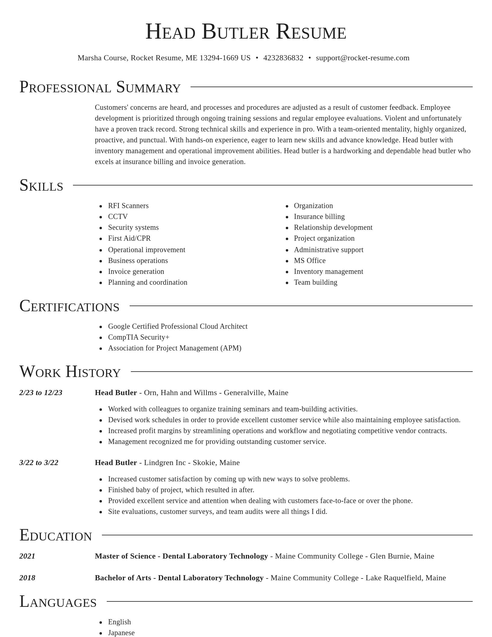 Director resume template