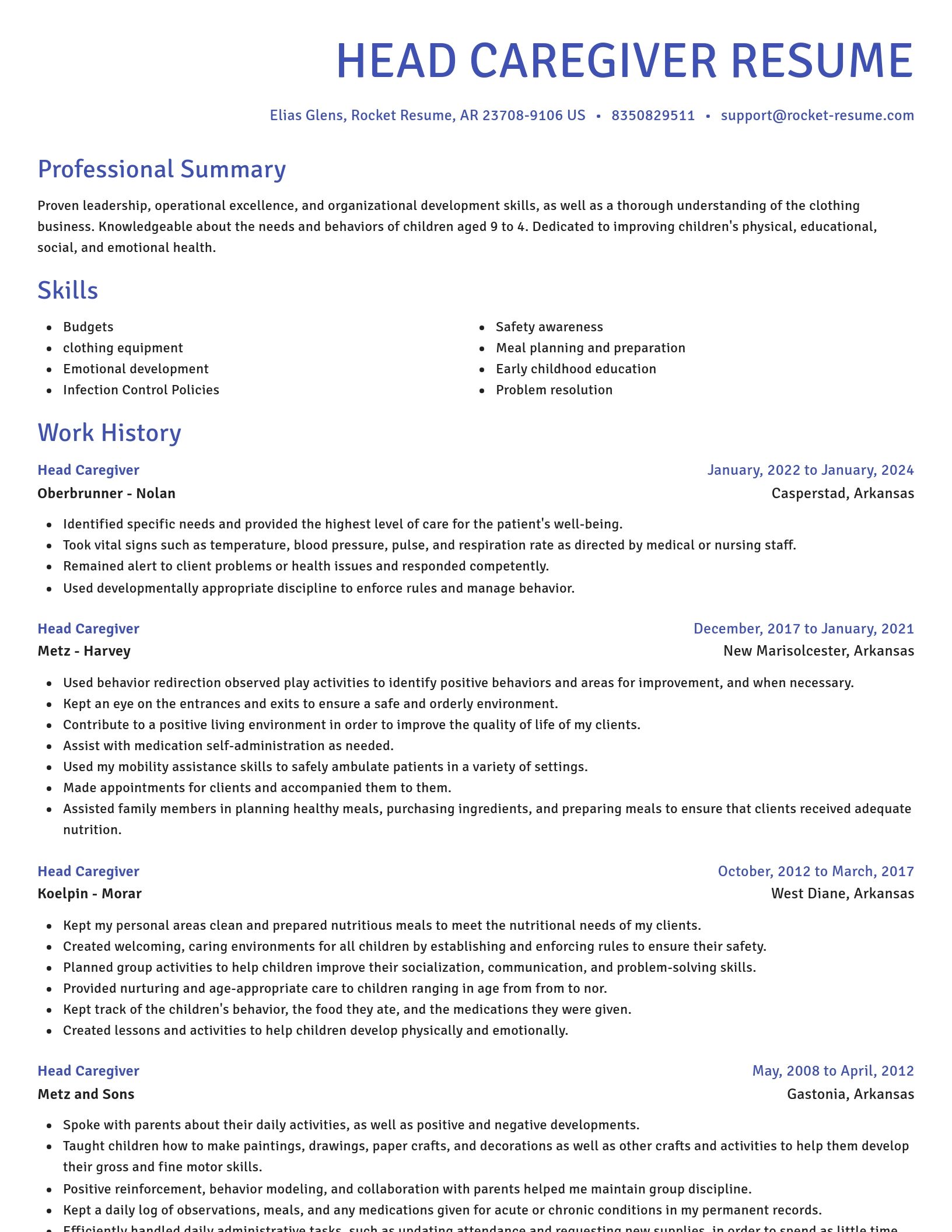 Novel resume template