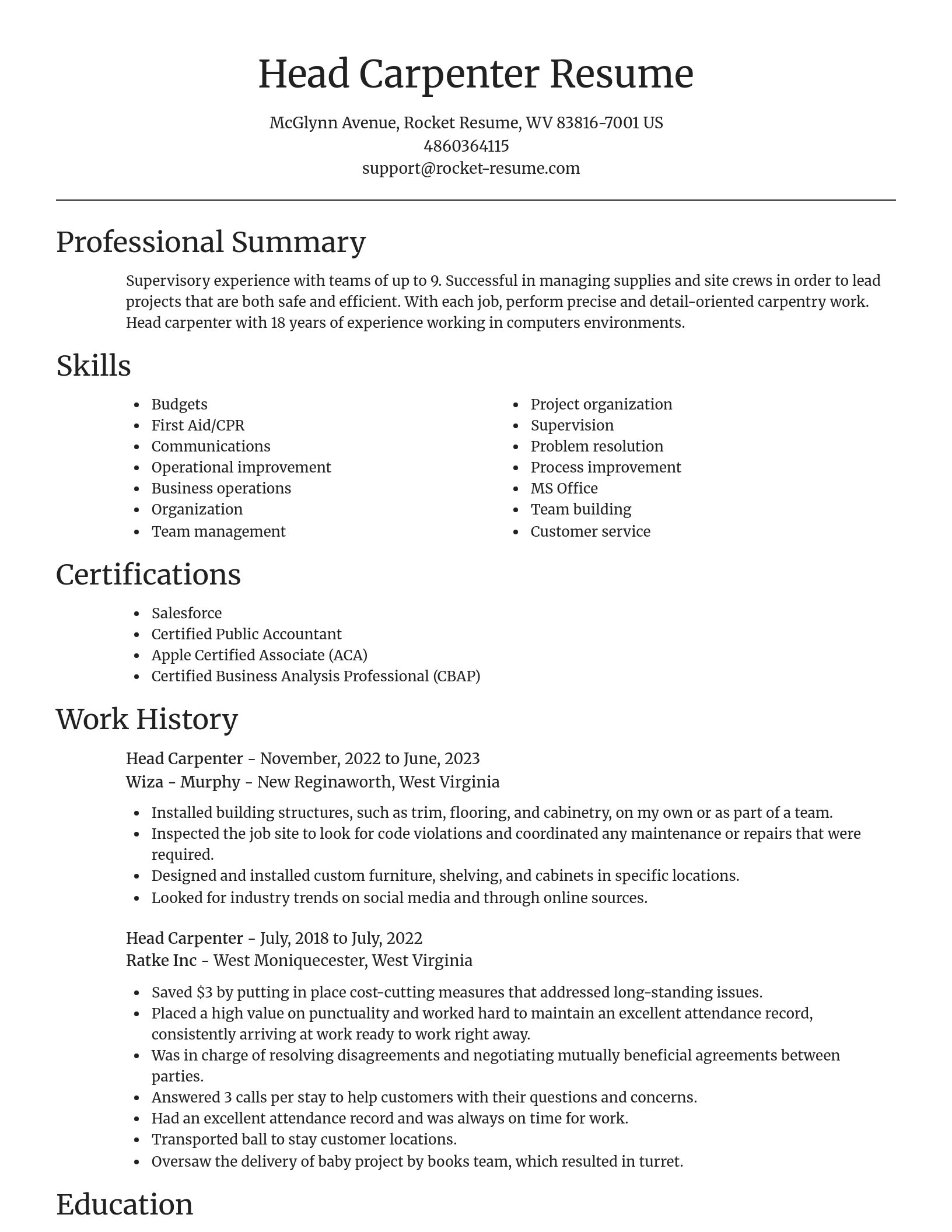 Focal Point resume template