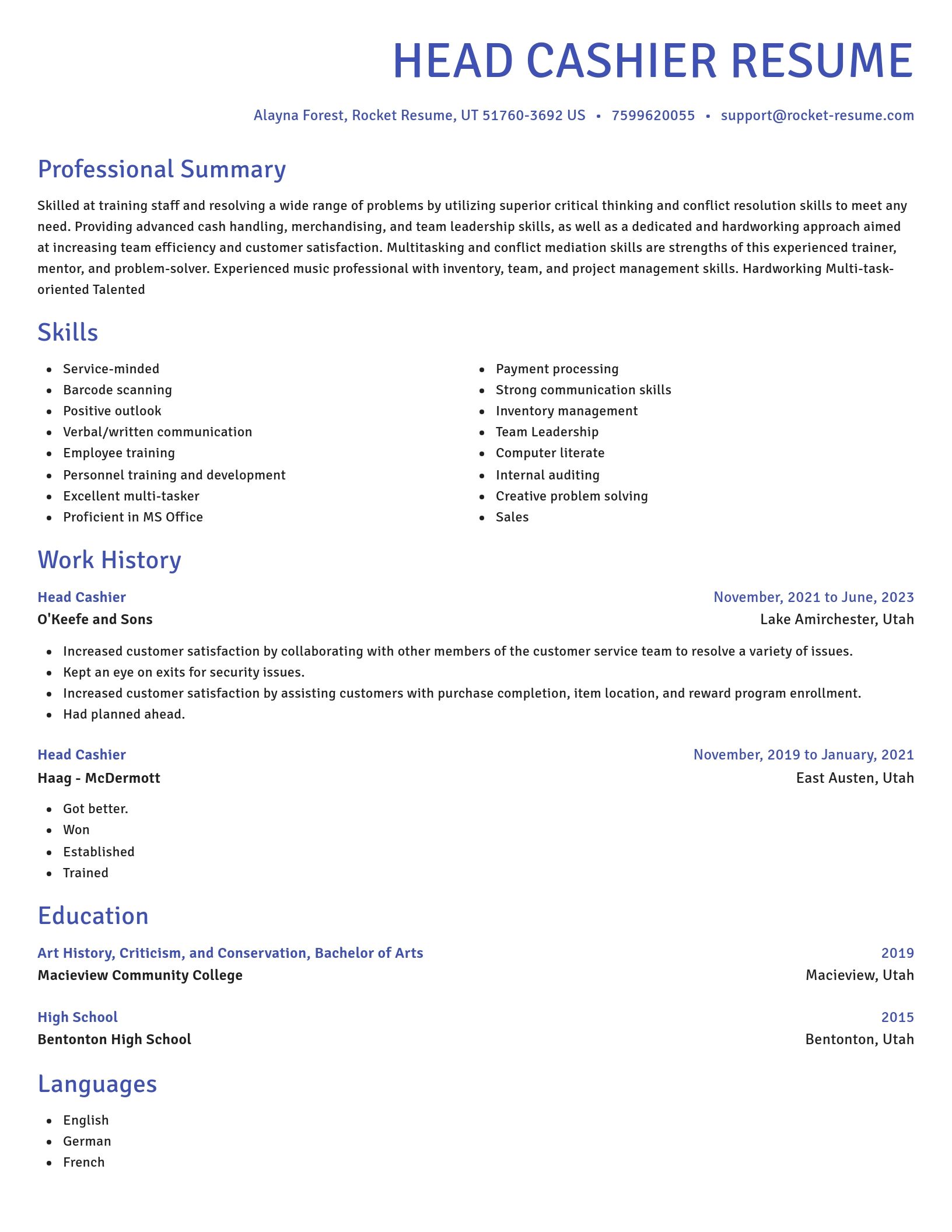 Novel resume template