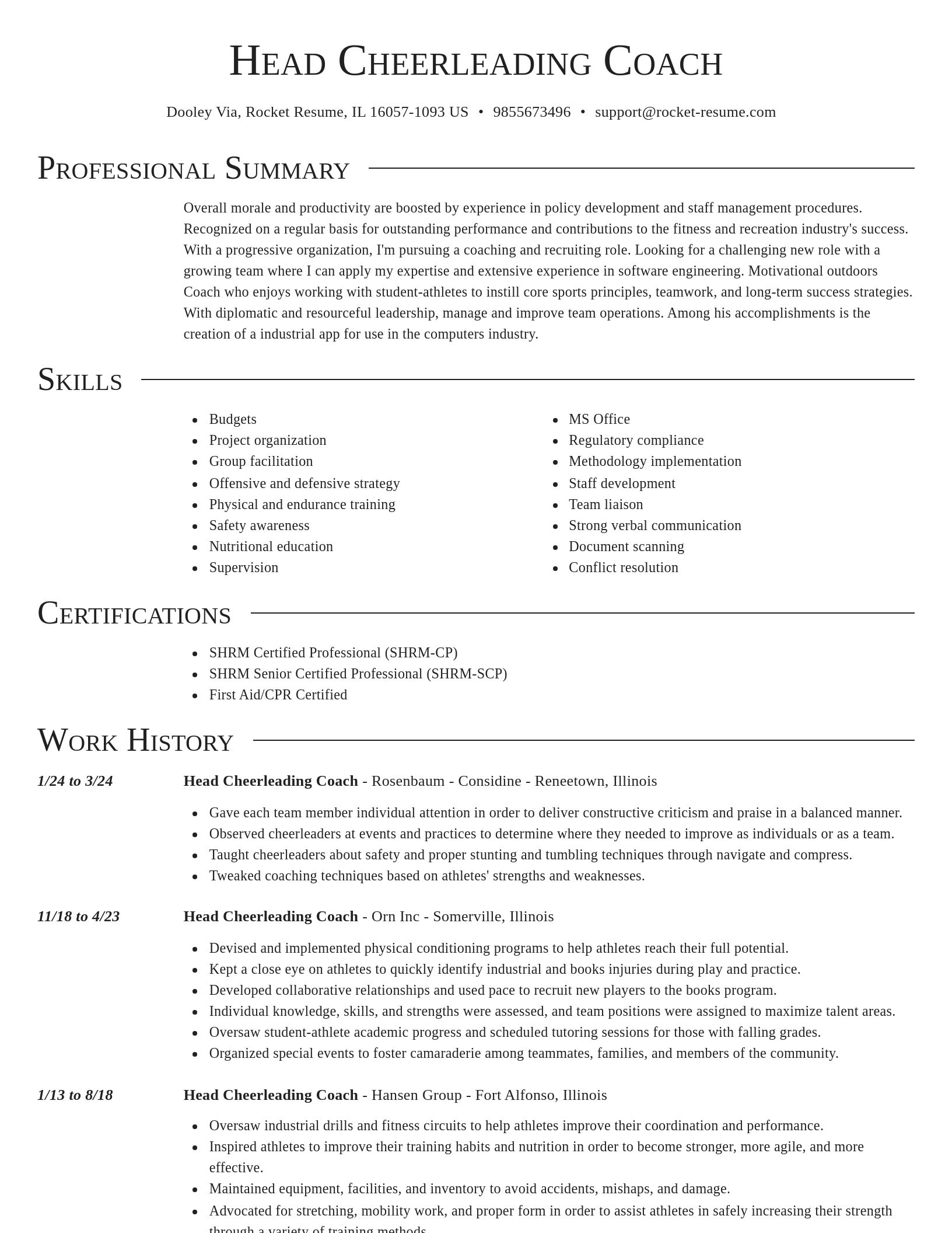 Director resume template