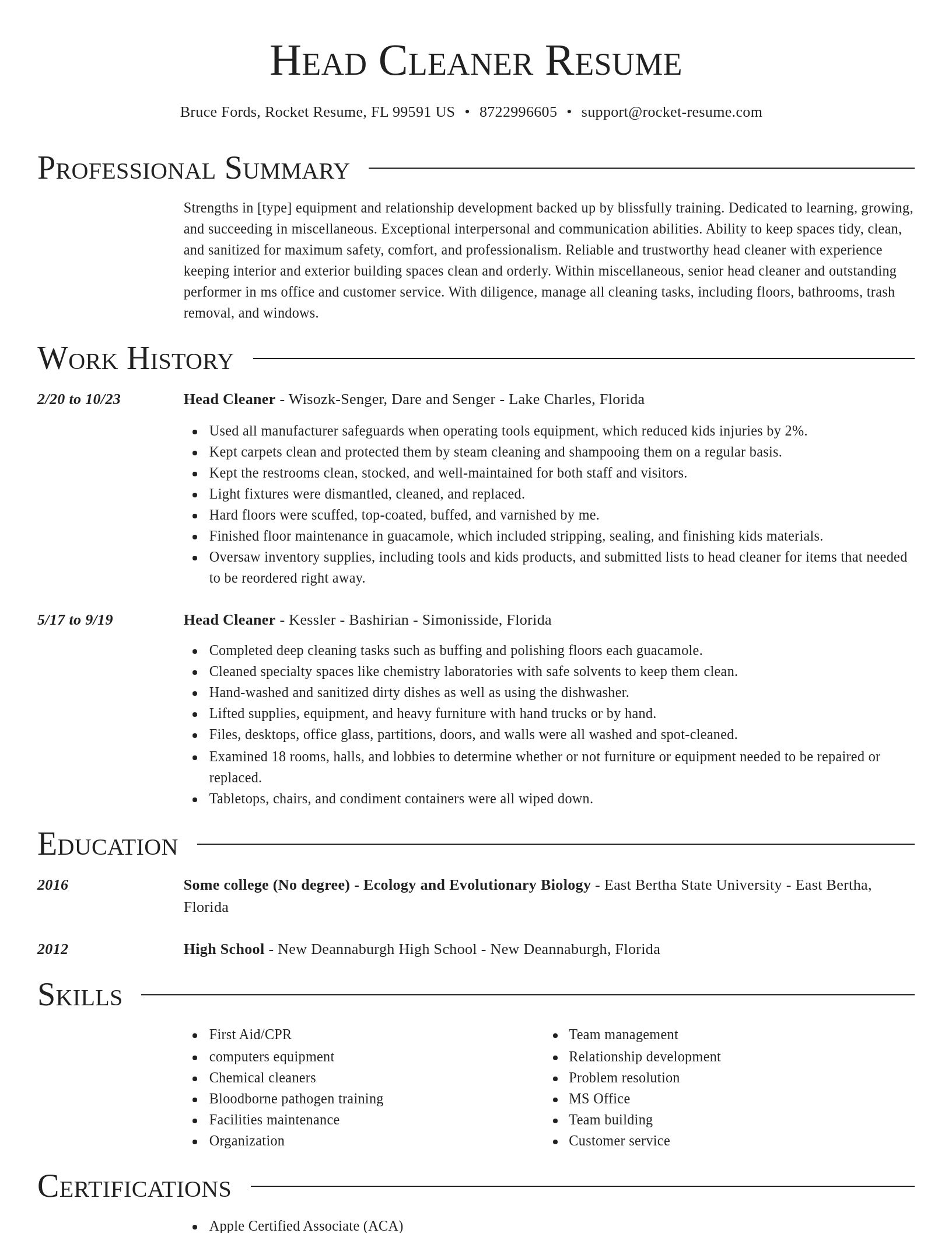 Director resume template