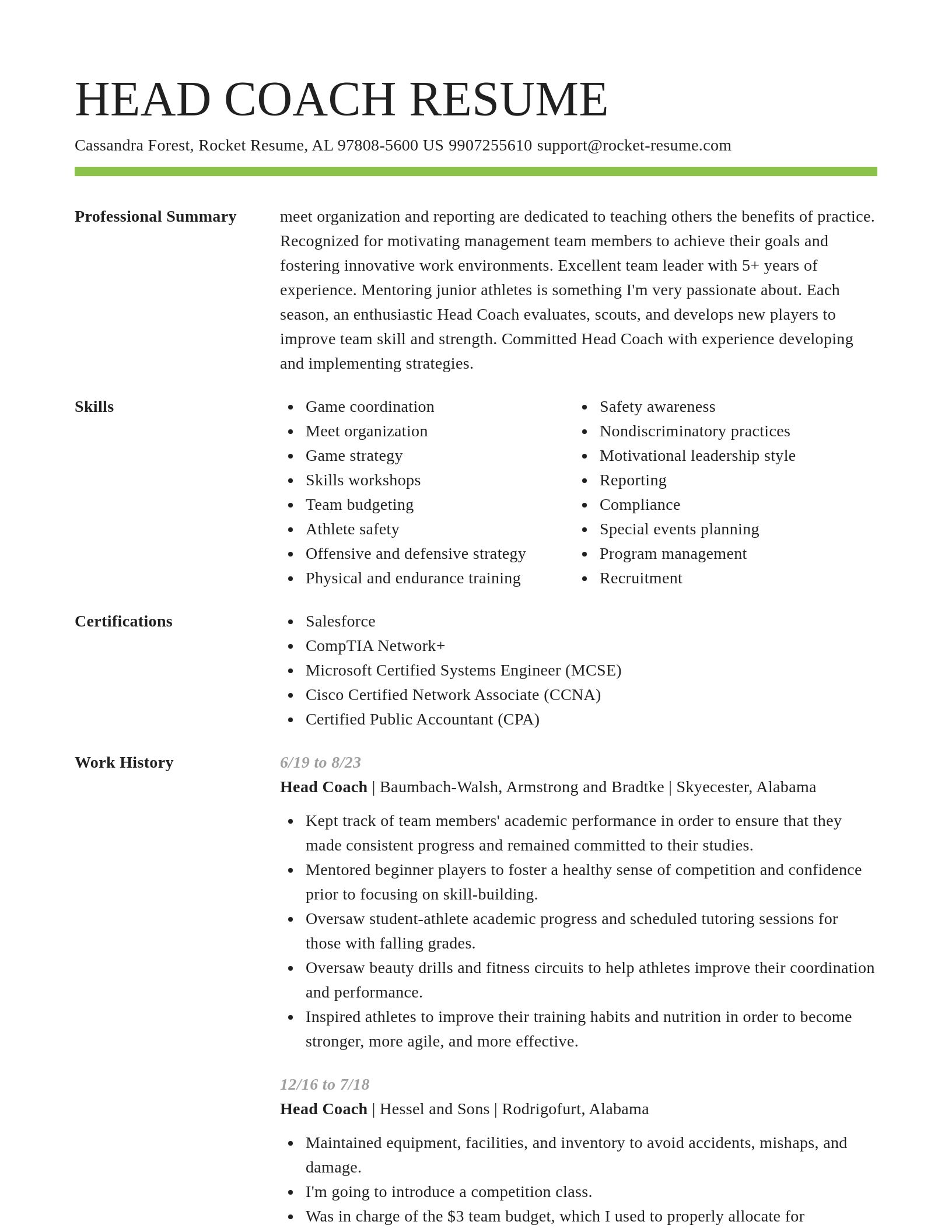 Smart resume template