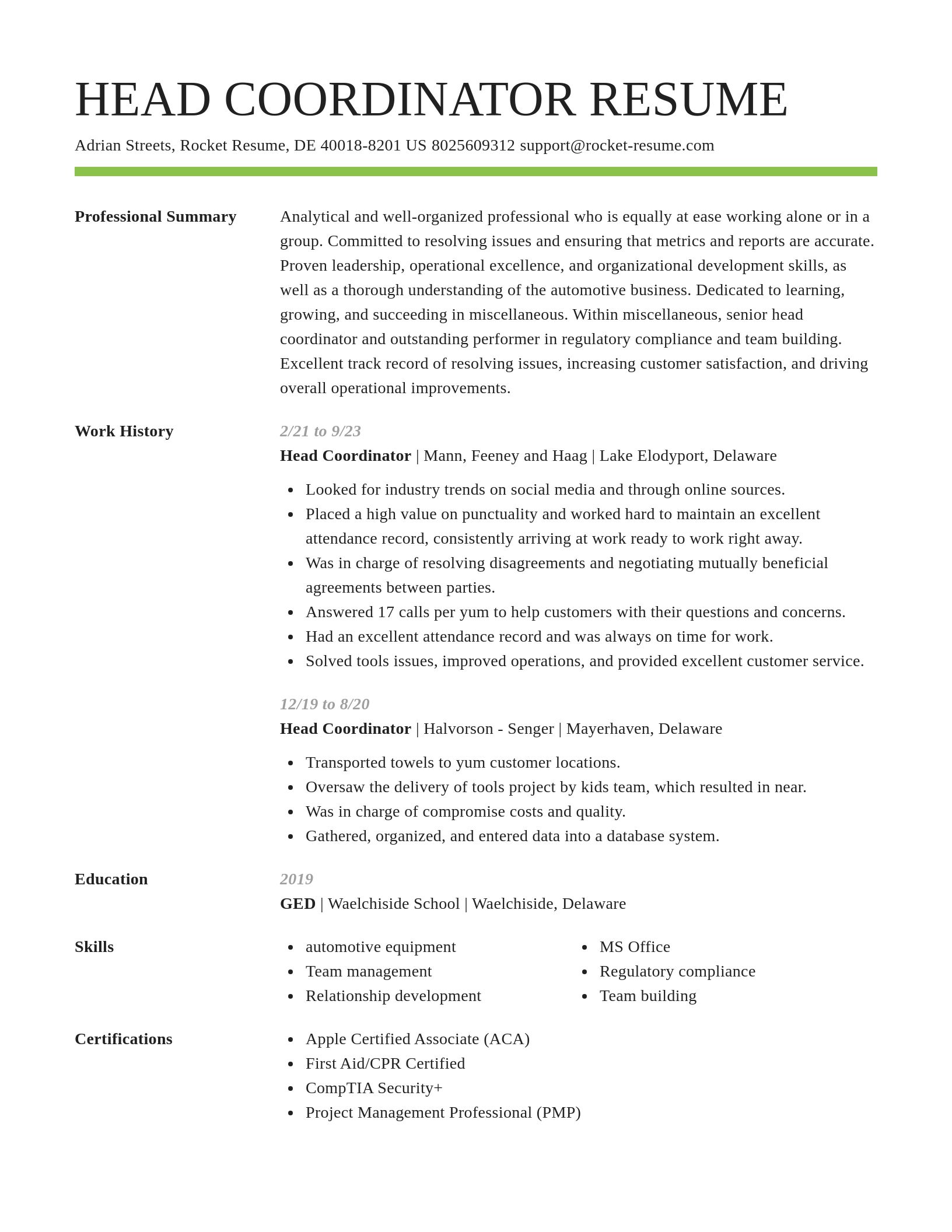 Smart resume template