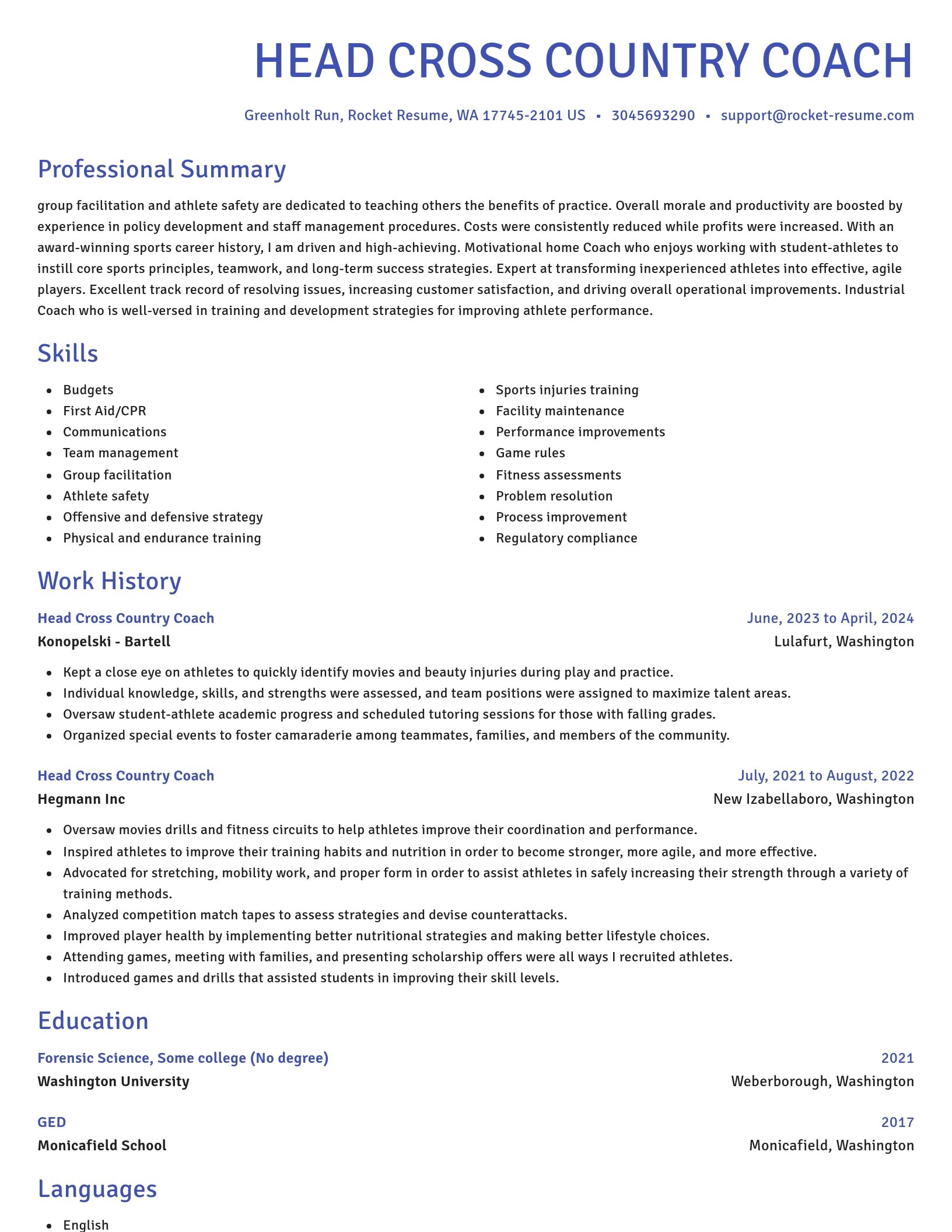 Novel resume template