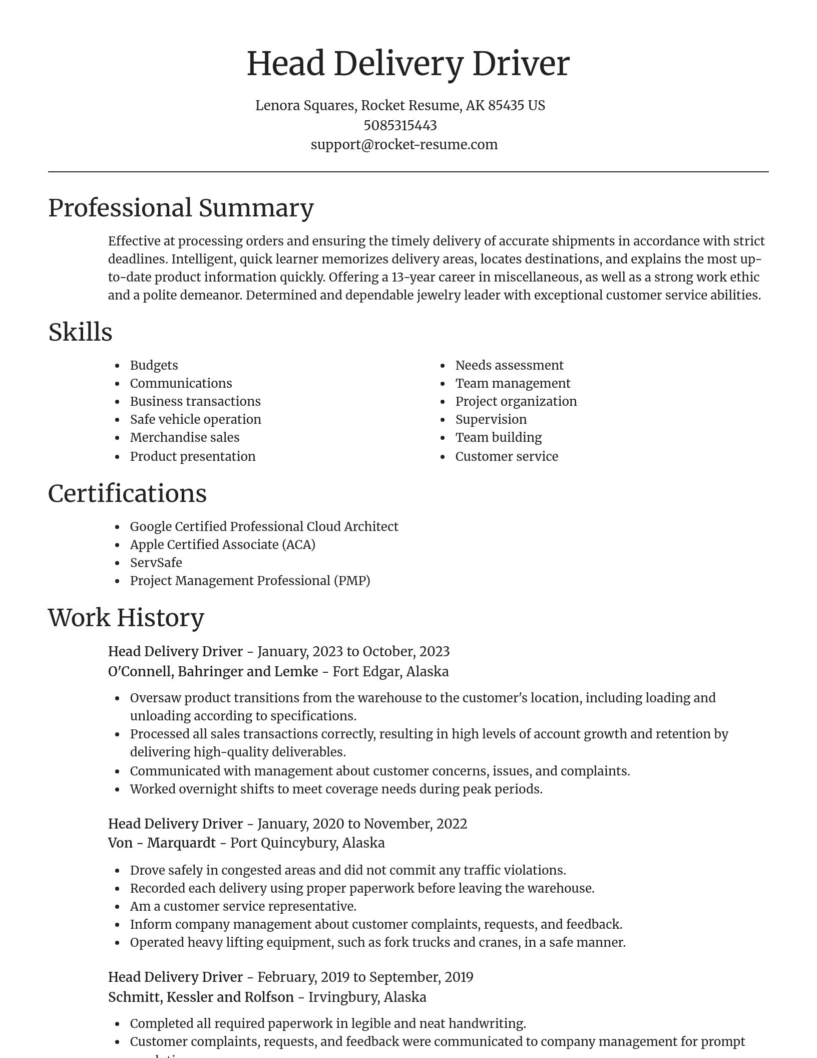 Focal Point resume template