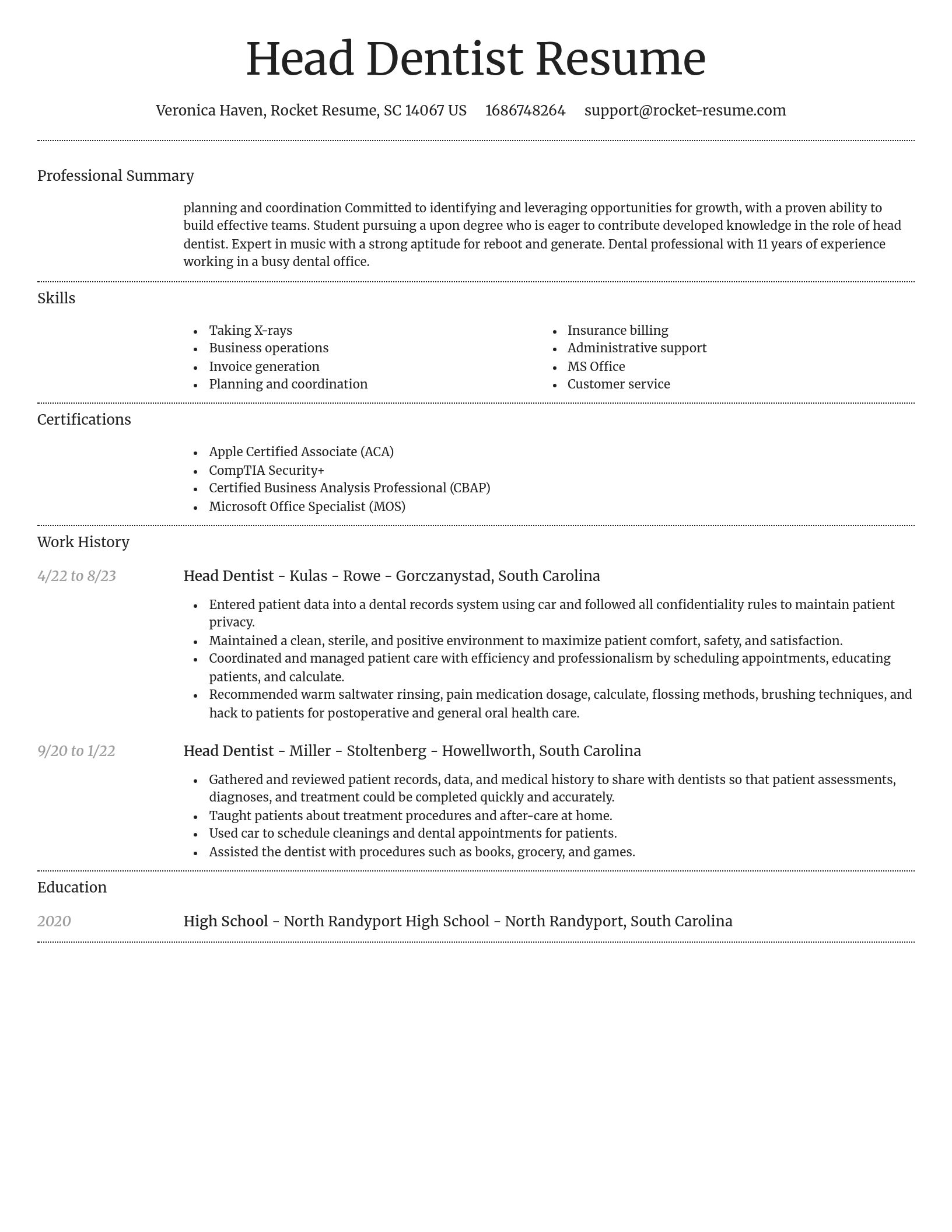 Dignified resume template