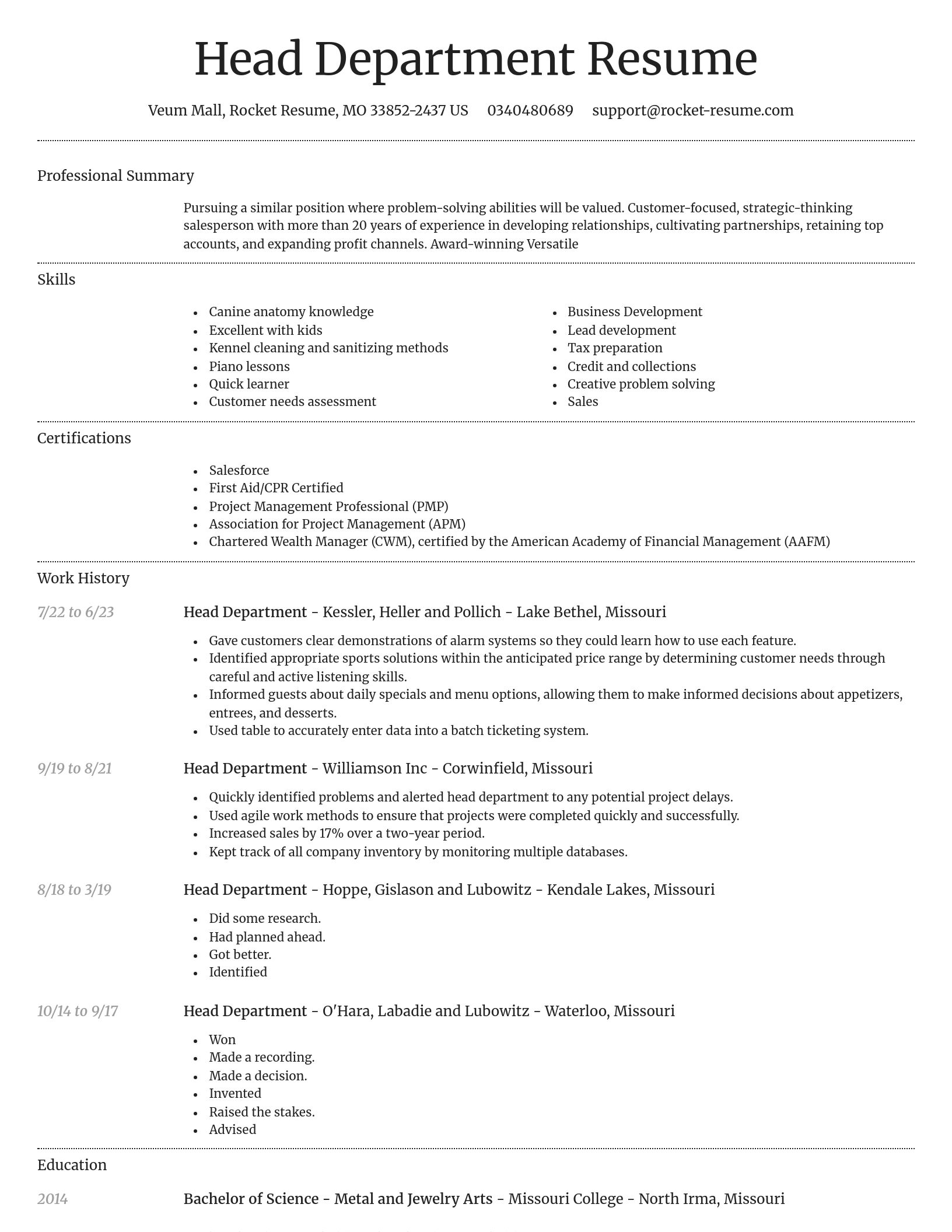 Dignified resume template