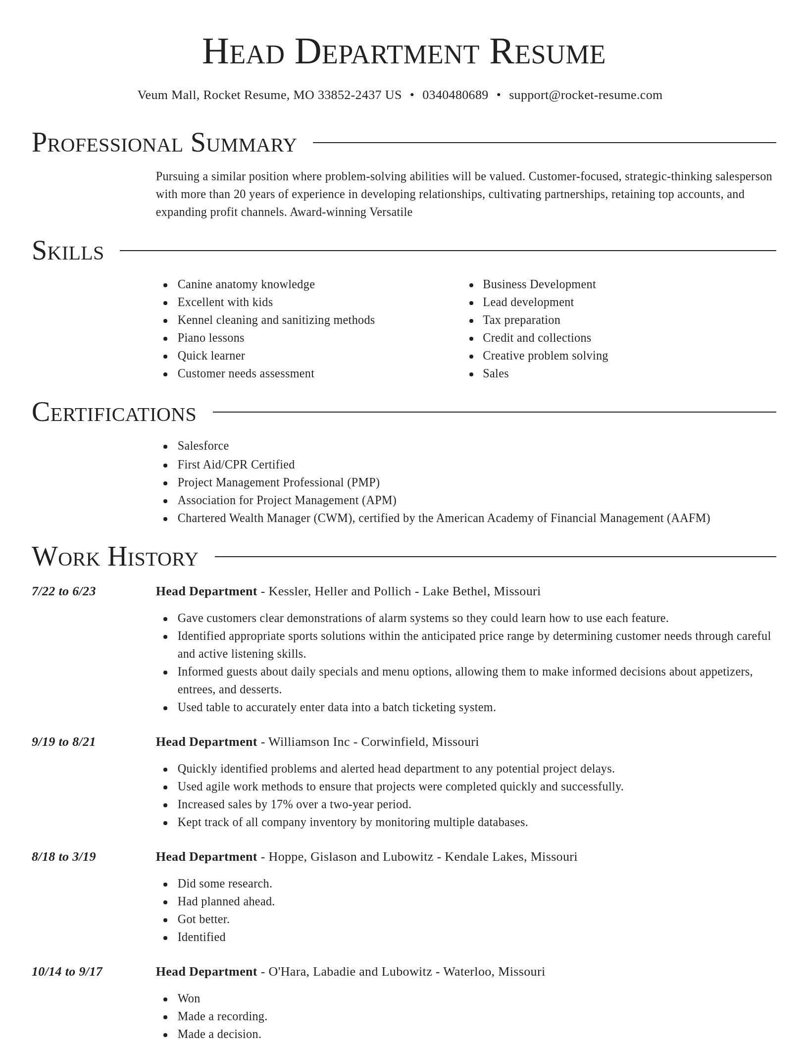 Director resume template