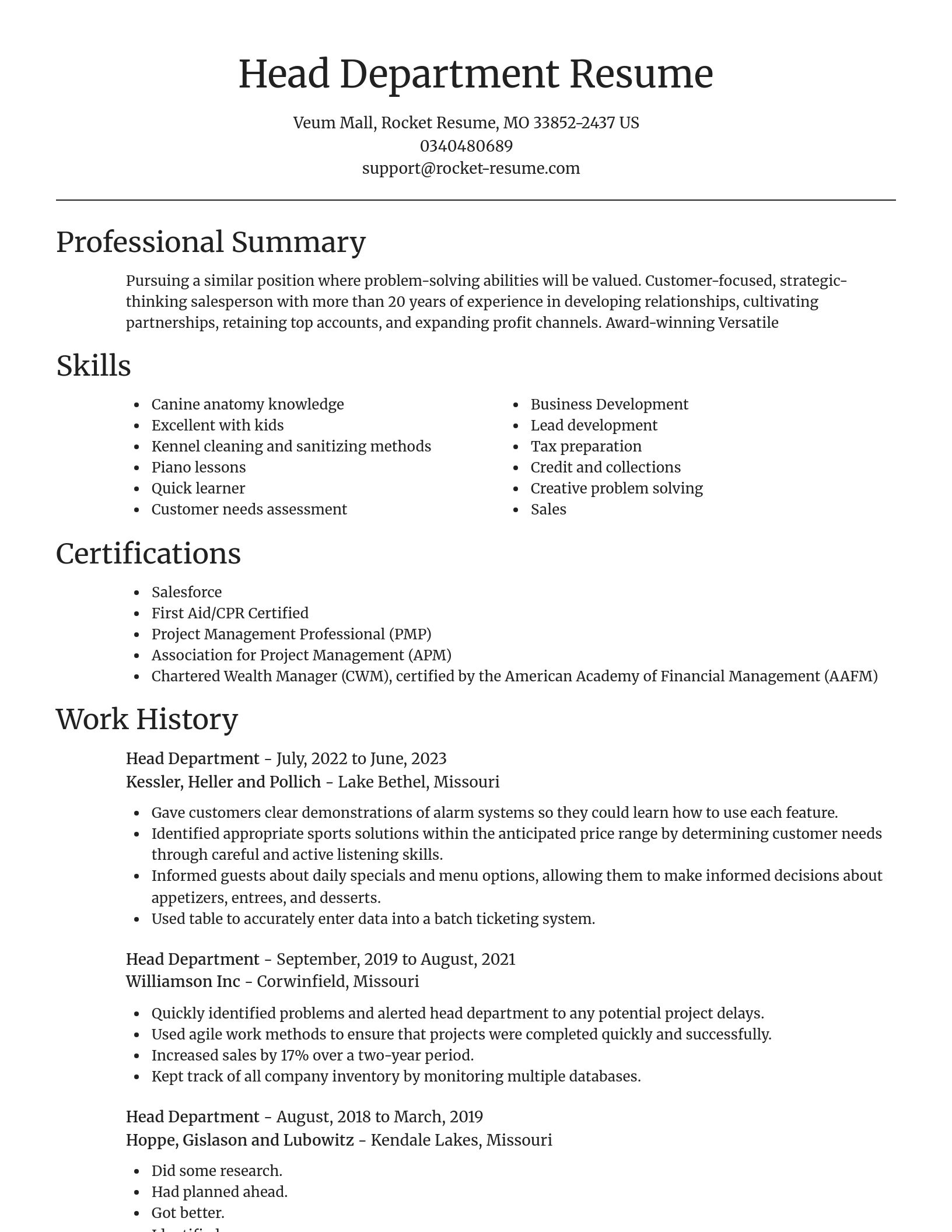 Focal Point resume template