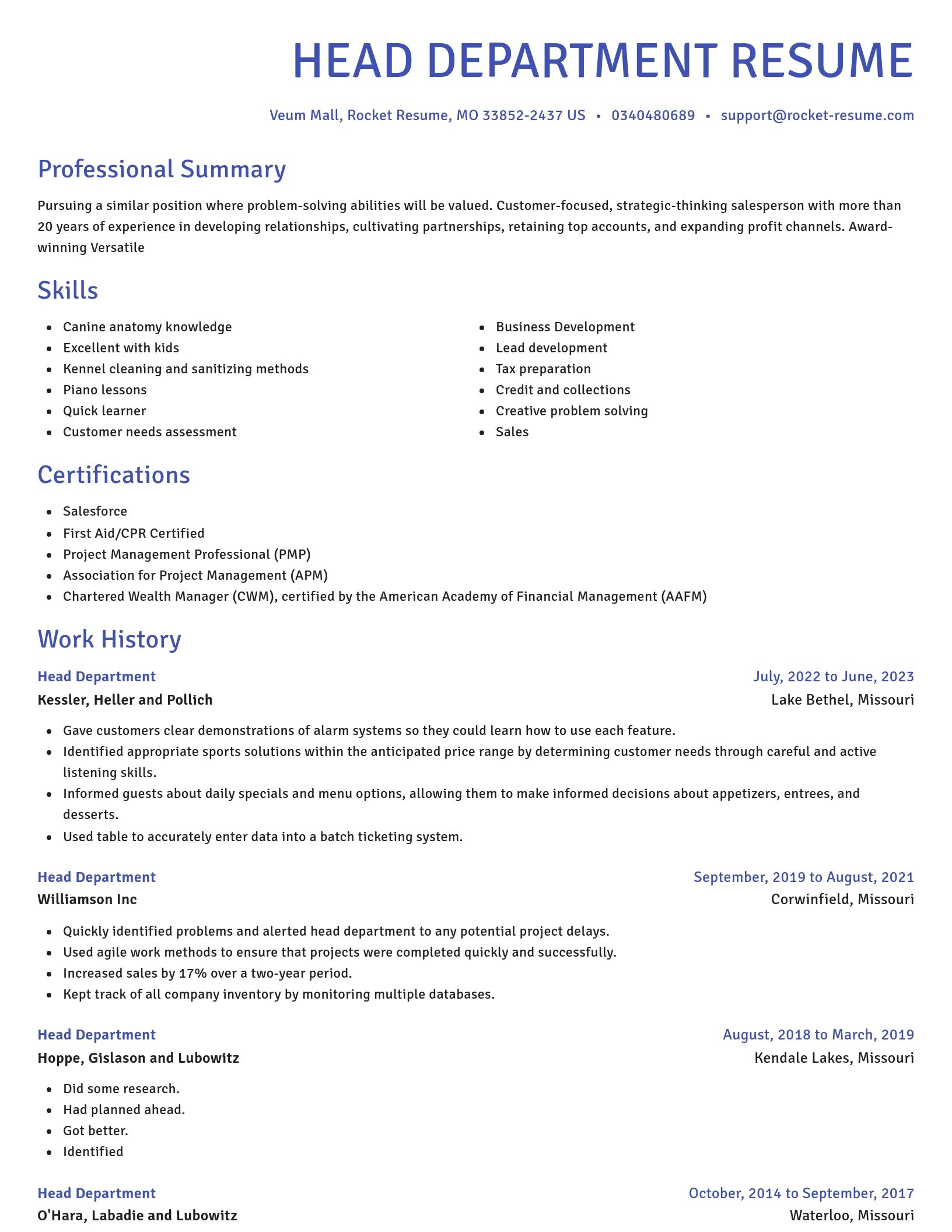Novel resume template