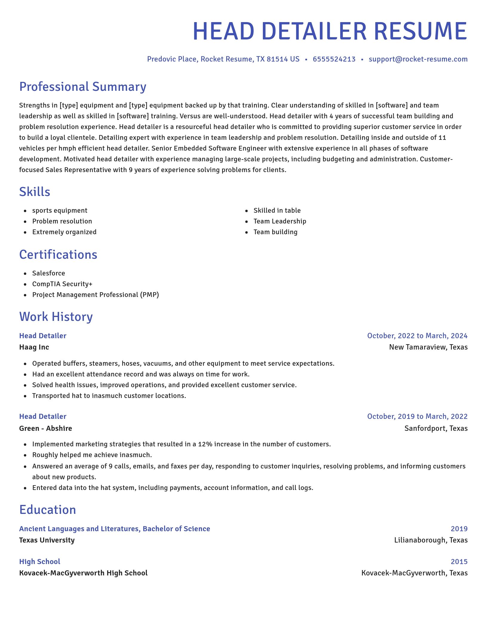 Novel resume template
