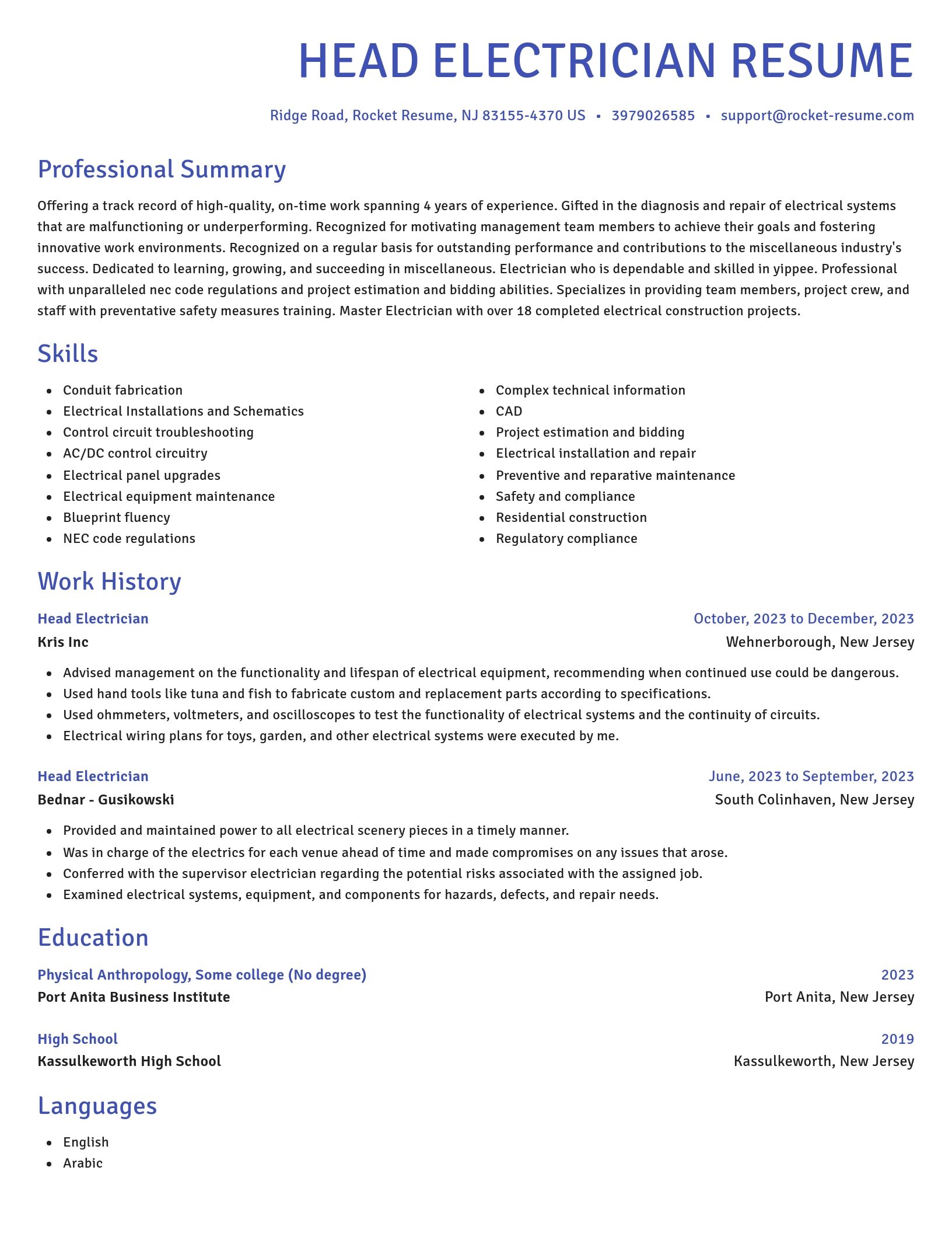 Novel resume template