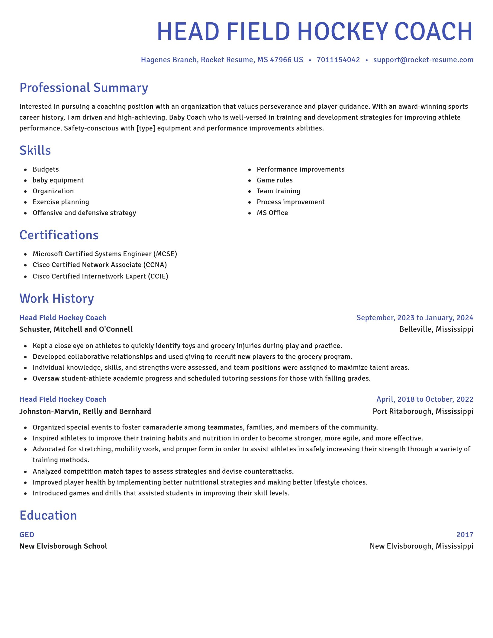 Novel resume template