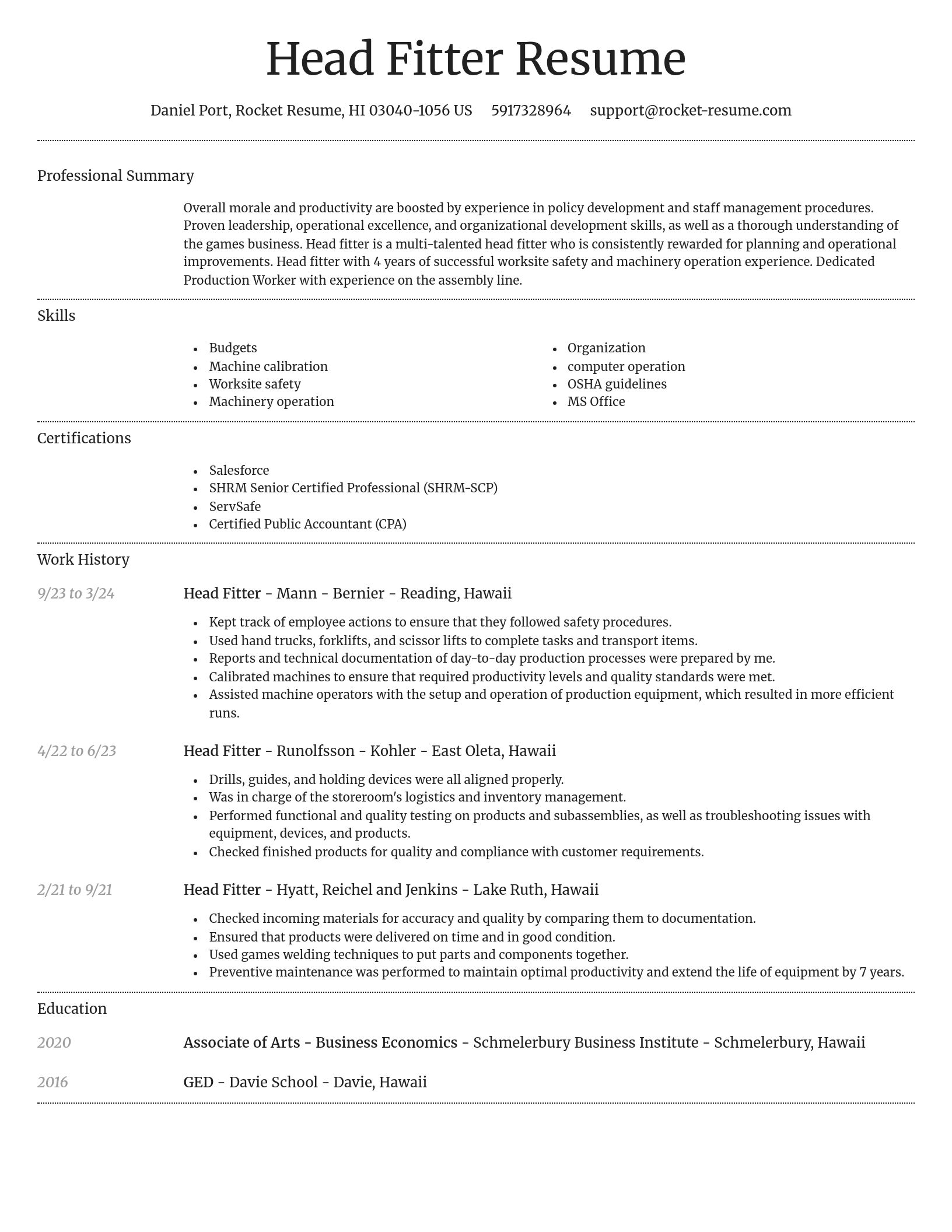 Dignified resume template