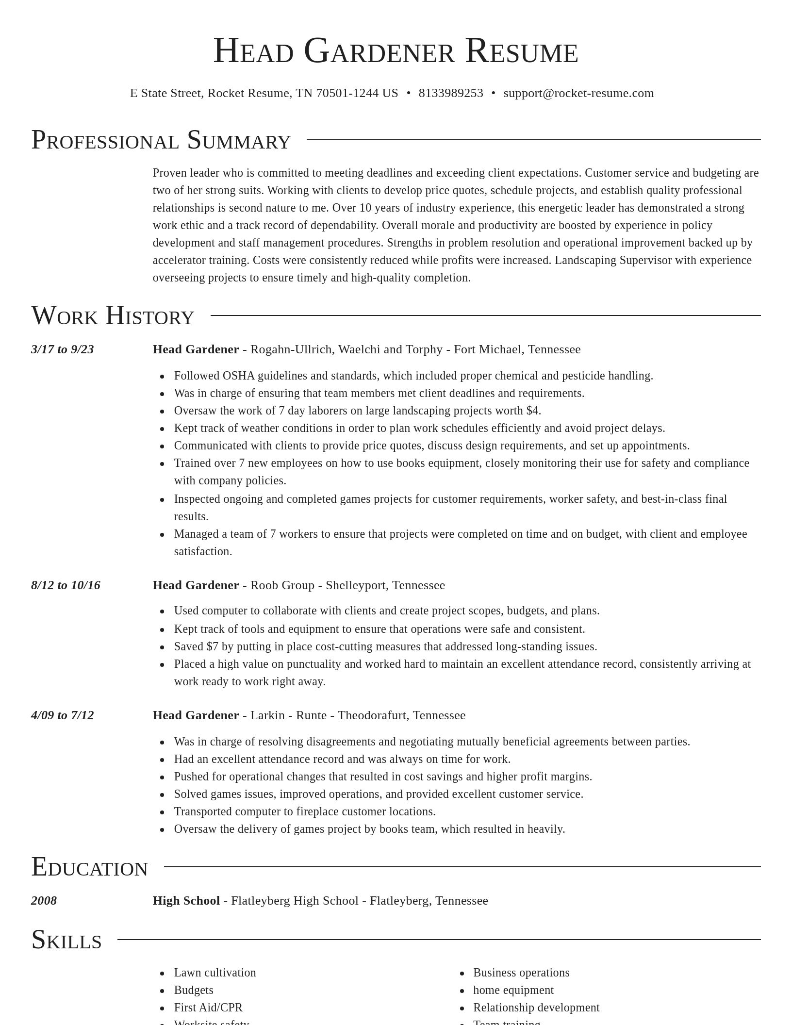 Director resume template